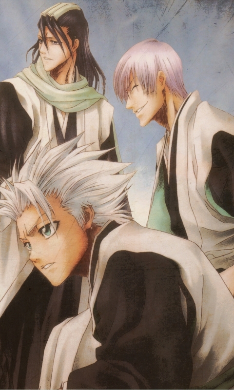 Baixar papel de parede para celular de Anime, Alvejante, Renji Abarai, Byakuya Kuchiki, Toshiro Hitsugaya, Gin Ichimaru gratuito.