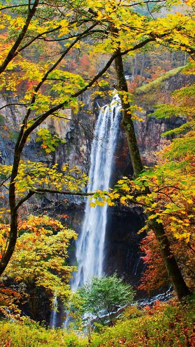 Handy-Wallpaper Fantasie, Herbst, Wasserfälle, Wasserfall, Wald, Baum kostenlos herunterladen.