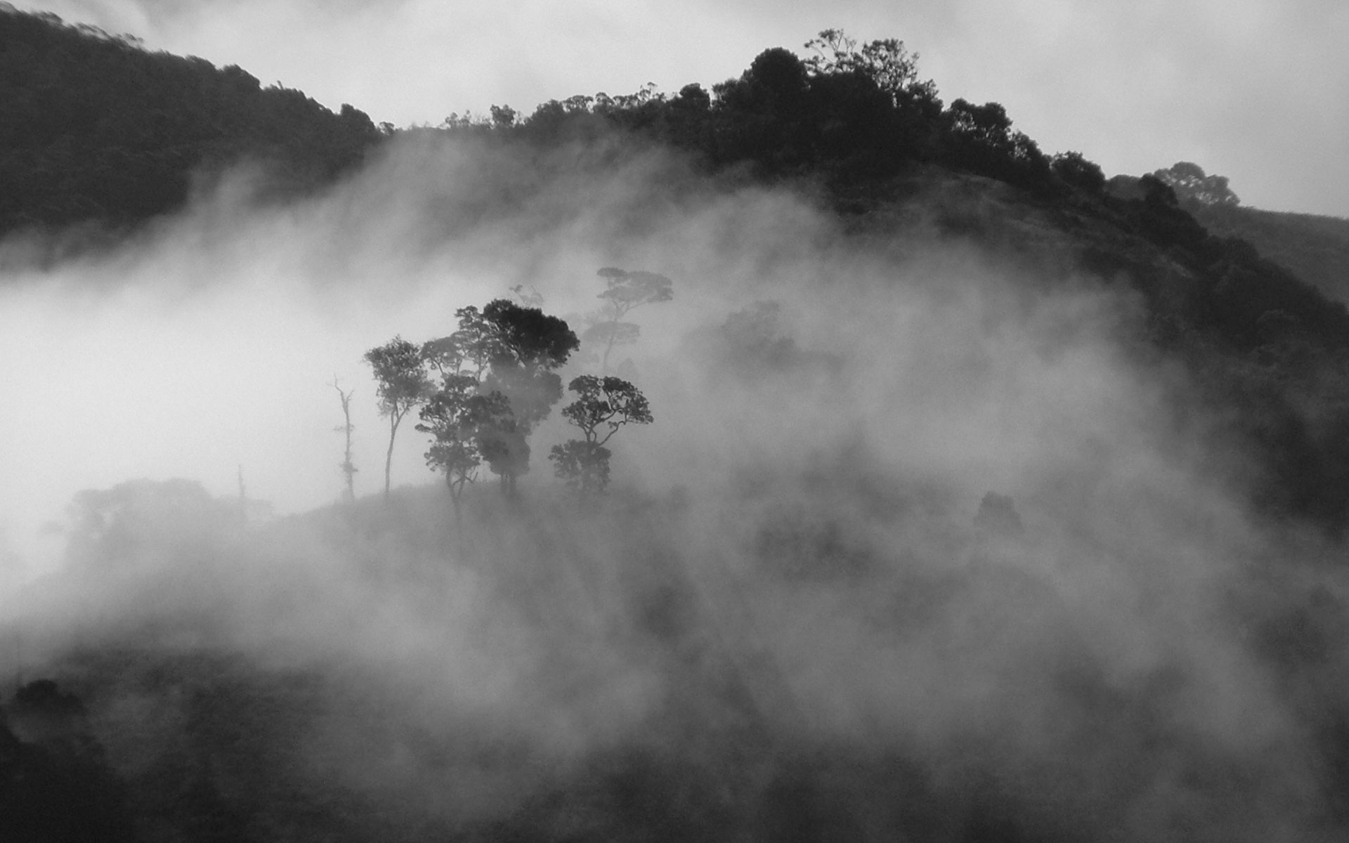 Baixar papel de parede para celular de Fotografia, Preto & Branco gratuito.