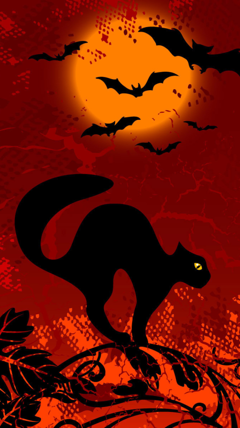 Download mobile wallpaper Sunset, Halloween, Cat, Holiday, Bat for free.