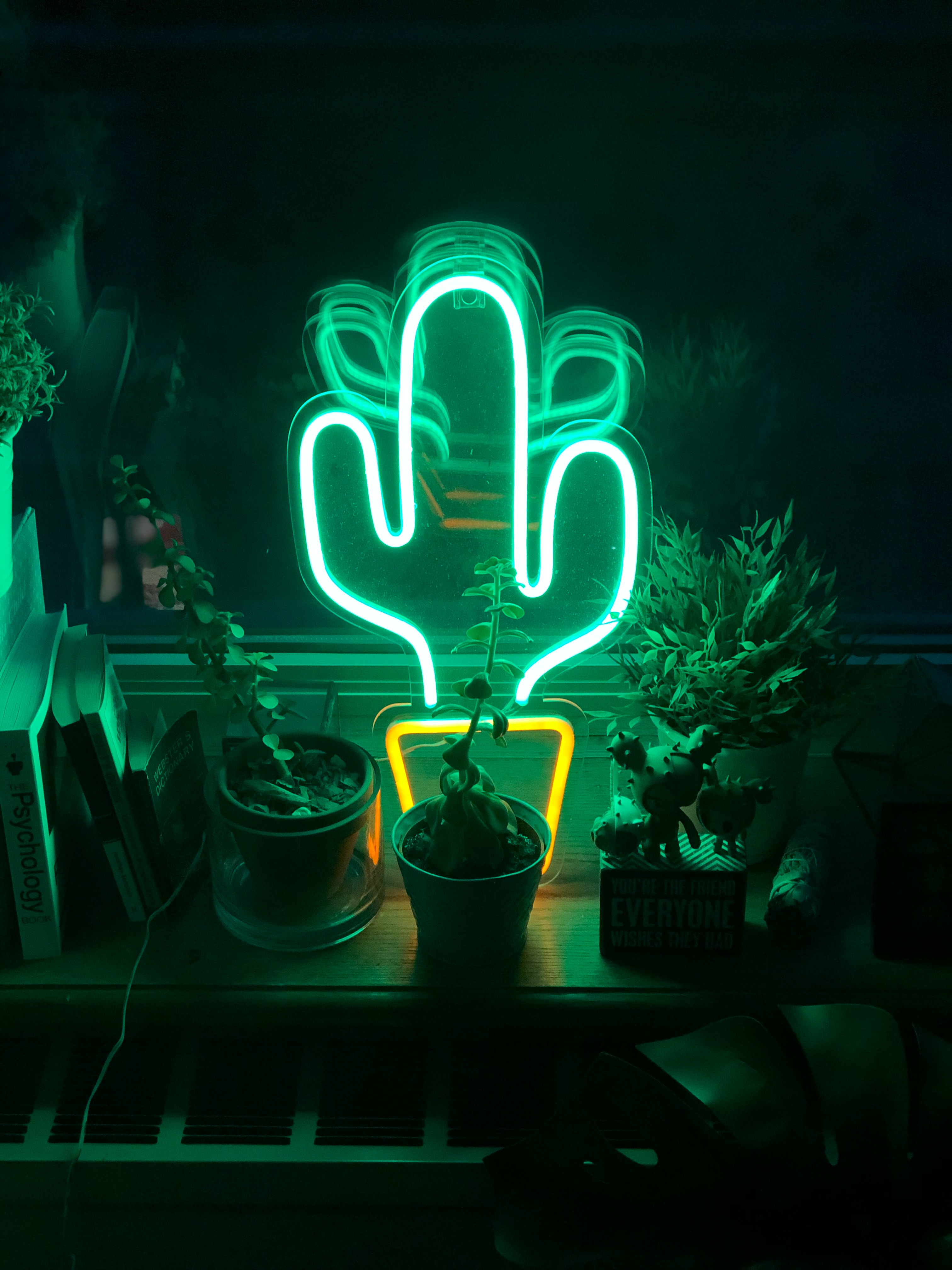 neon, green, flowers, shine, light, miscellanea, miscellaneous, cactus