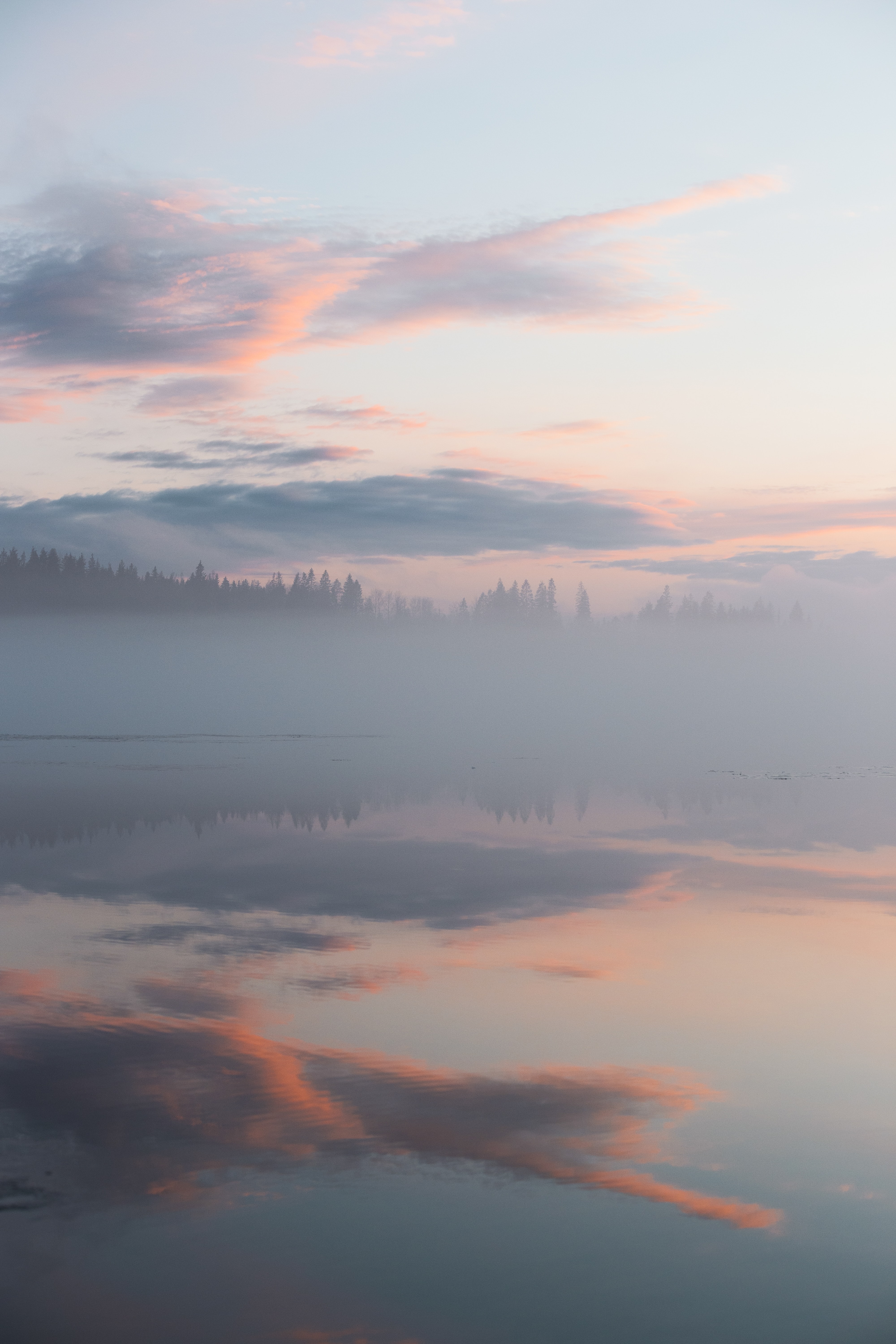clouds, fog, nature, trees, reflection 4K Ultra