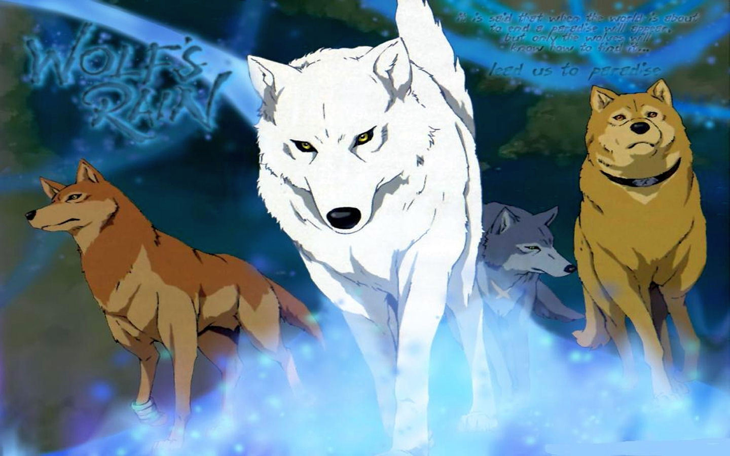 241512 Hintergrundbild herunterladen animes, wolf's rain - Bildschirmschoner und Bilder kostenlos
