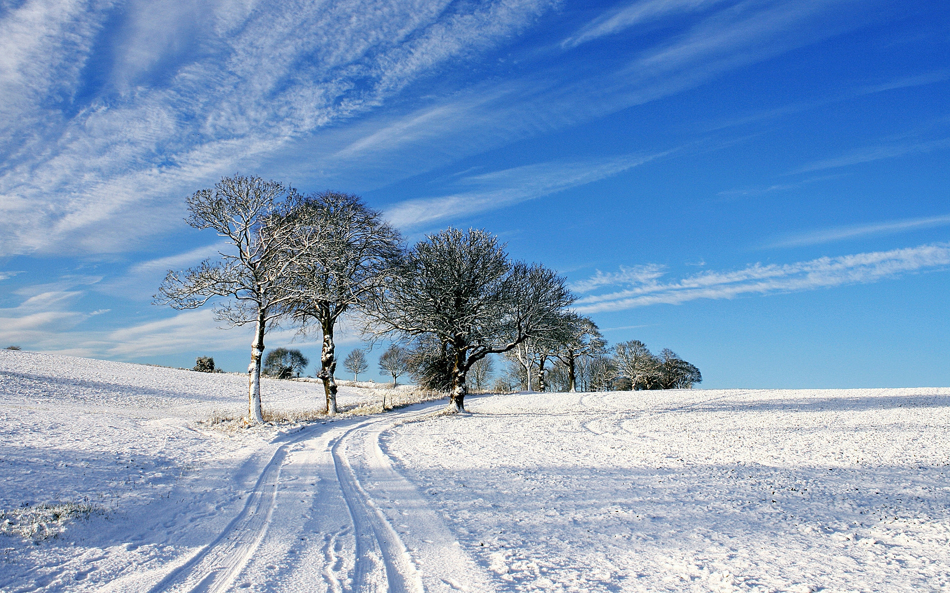 PCデスクトップに冬, 木, 雪, 道, 地球画像を無料でダウンロード