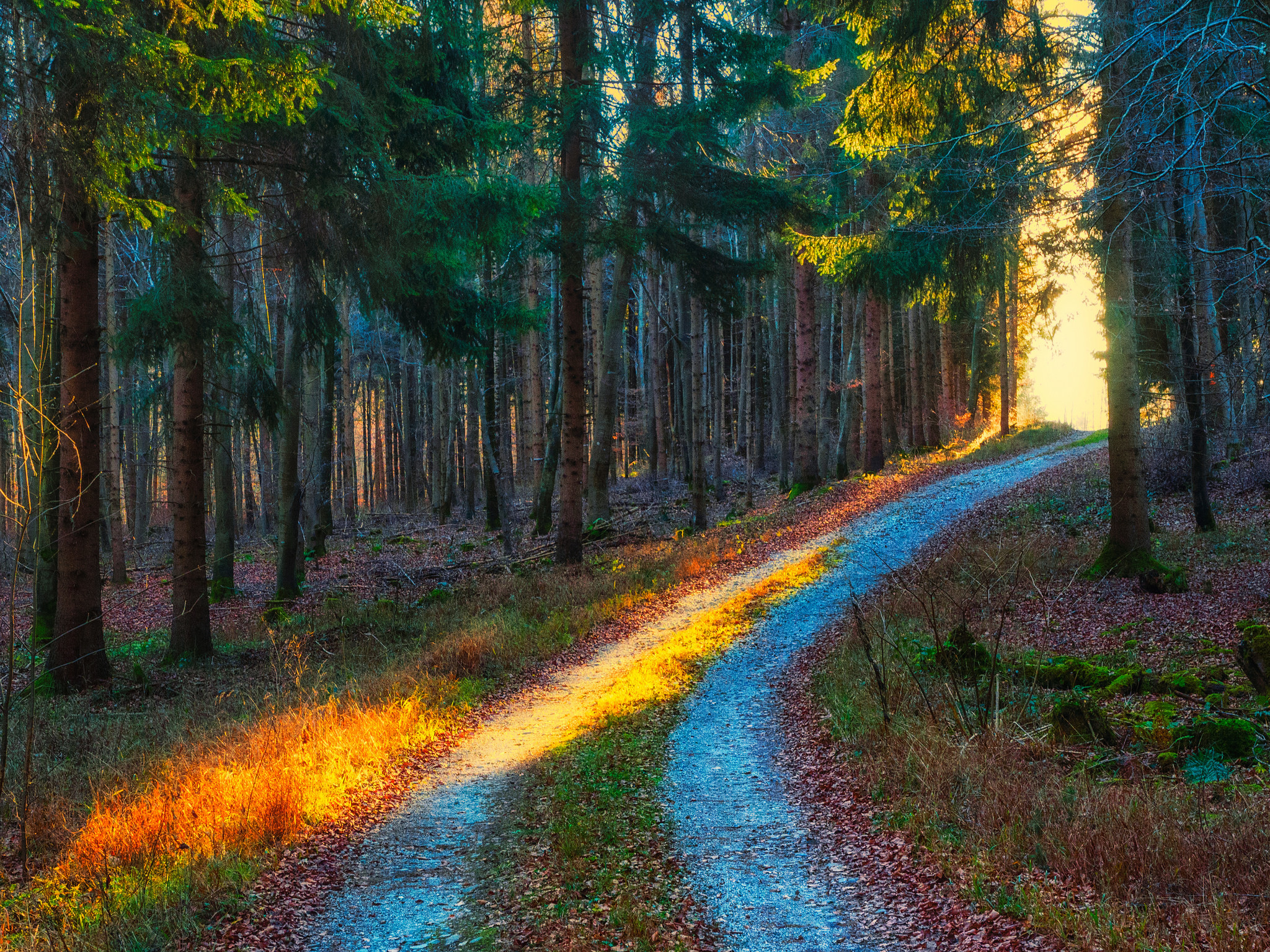 Handy-Wallpaper Wald, Baum, Pfad, Menschengemacht, Sonnenschein, Schotterstraße kostenlos herunterladen.