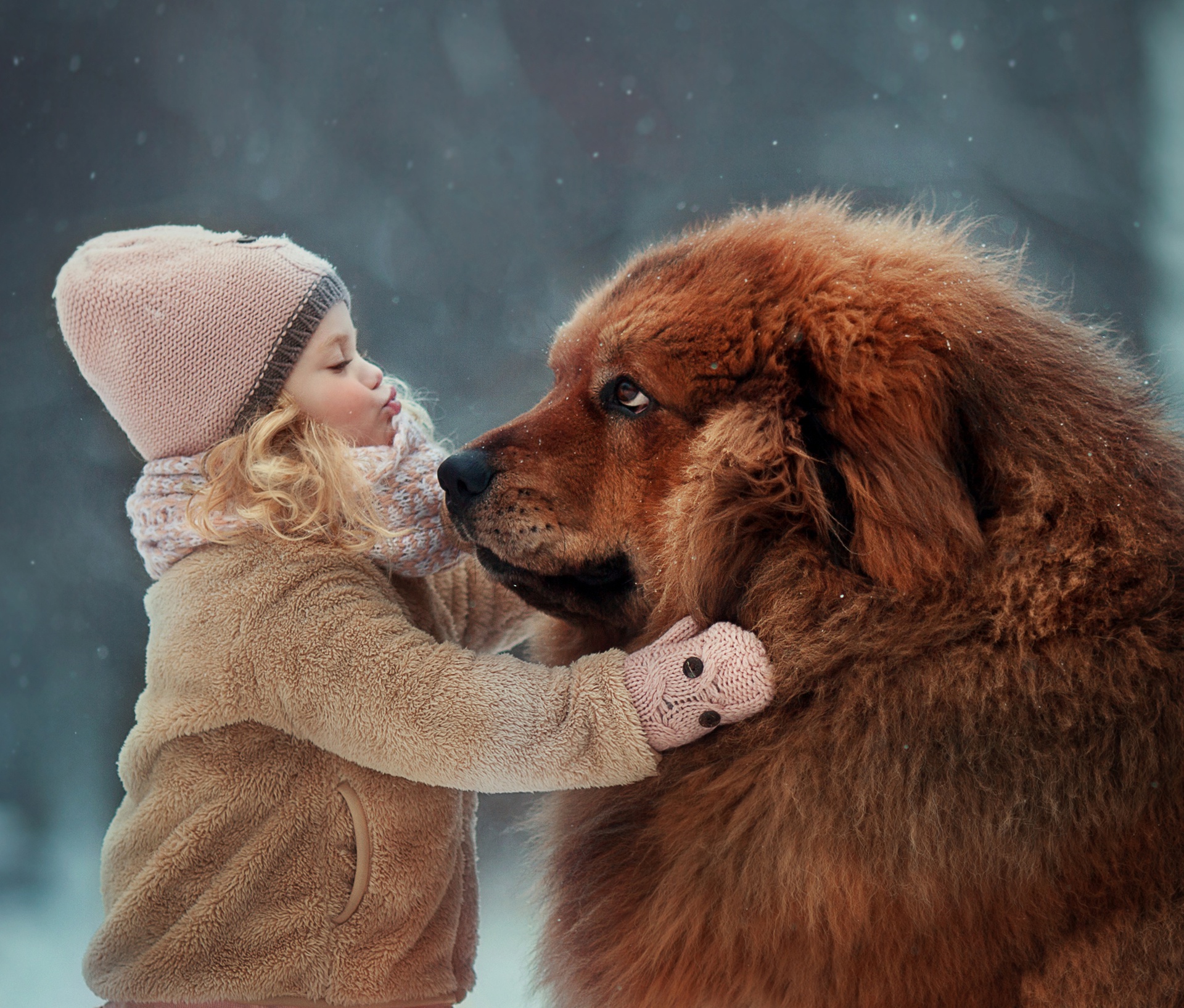 Laden Sie das Liebe, Süß, Fotografie, Kleines Mädchen, Tibetischer Mastiff-Bild kostenlos auf Ihren PC-Desktop herunter