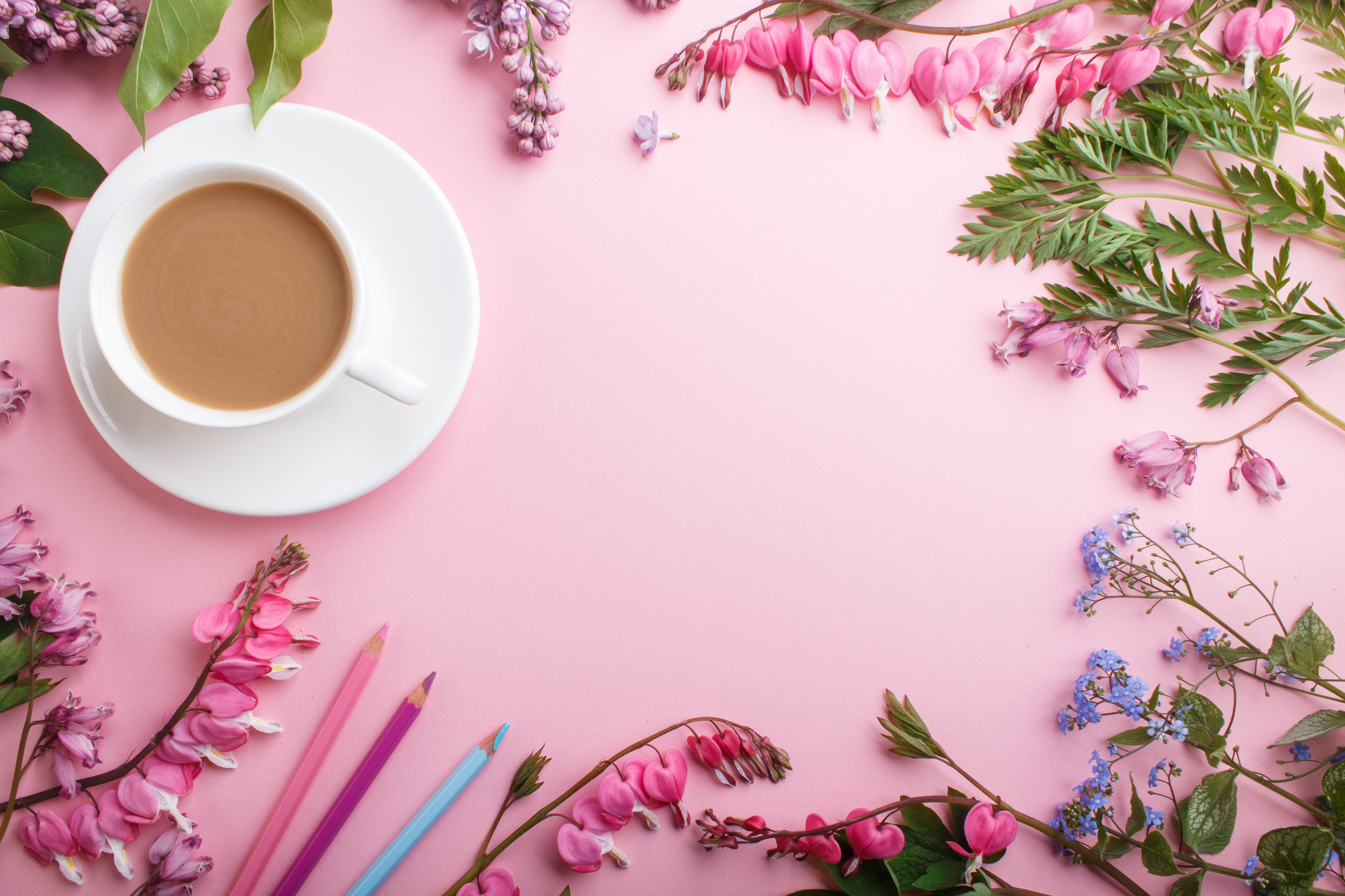 Baixar papel de parede para celular de Comida, Café, Flor, Xícara gratuito.