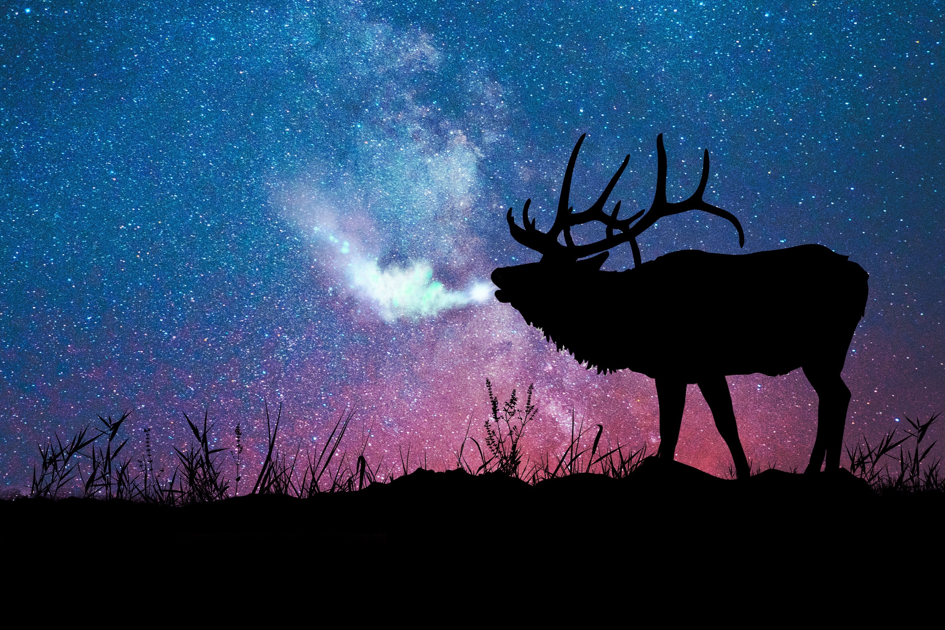deer, stars, dark, silhouette, galaxy 2160p