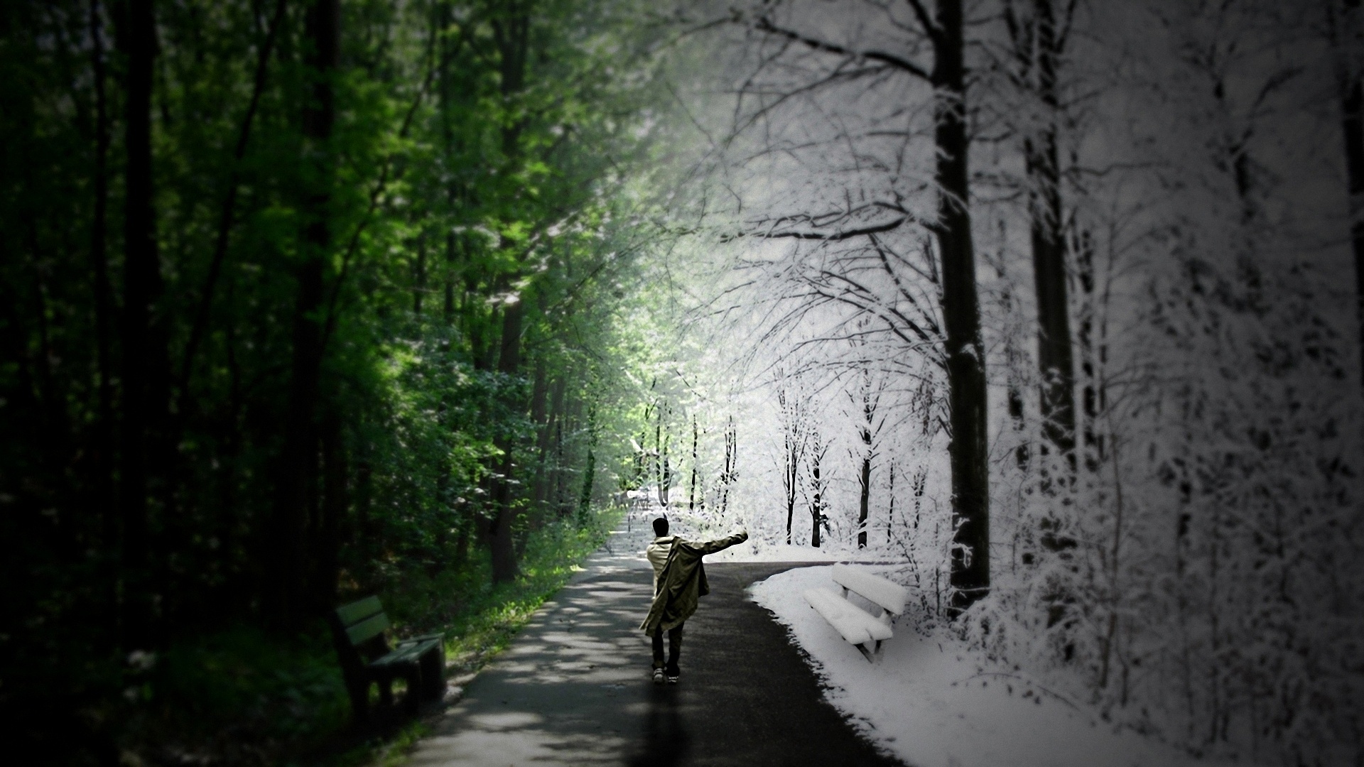 Download mobile wallpaper Winter, Forest, Path, Spring, Photography, Psychedelic, Season, Cgi, Manipulation for free.