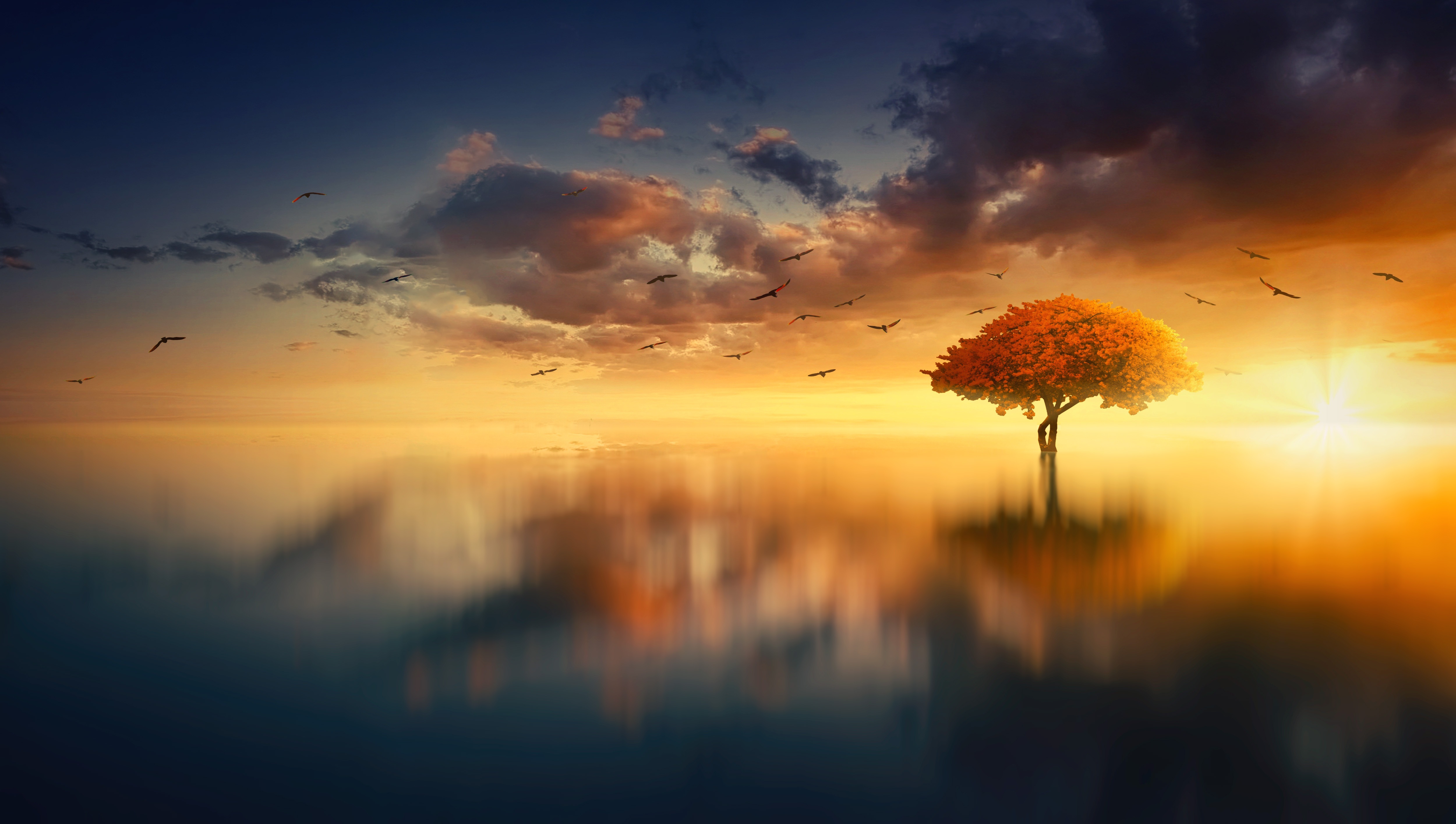 Download mobile wallpaper Nature, Trees, Sunset, Lake, Tree, Earth for free.