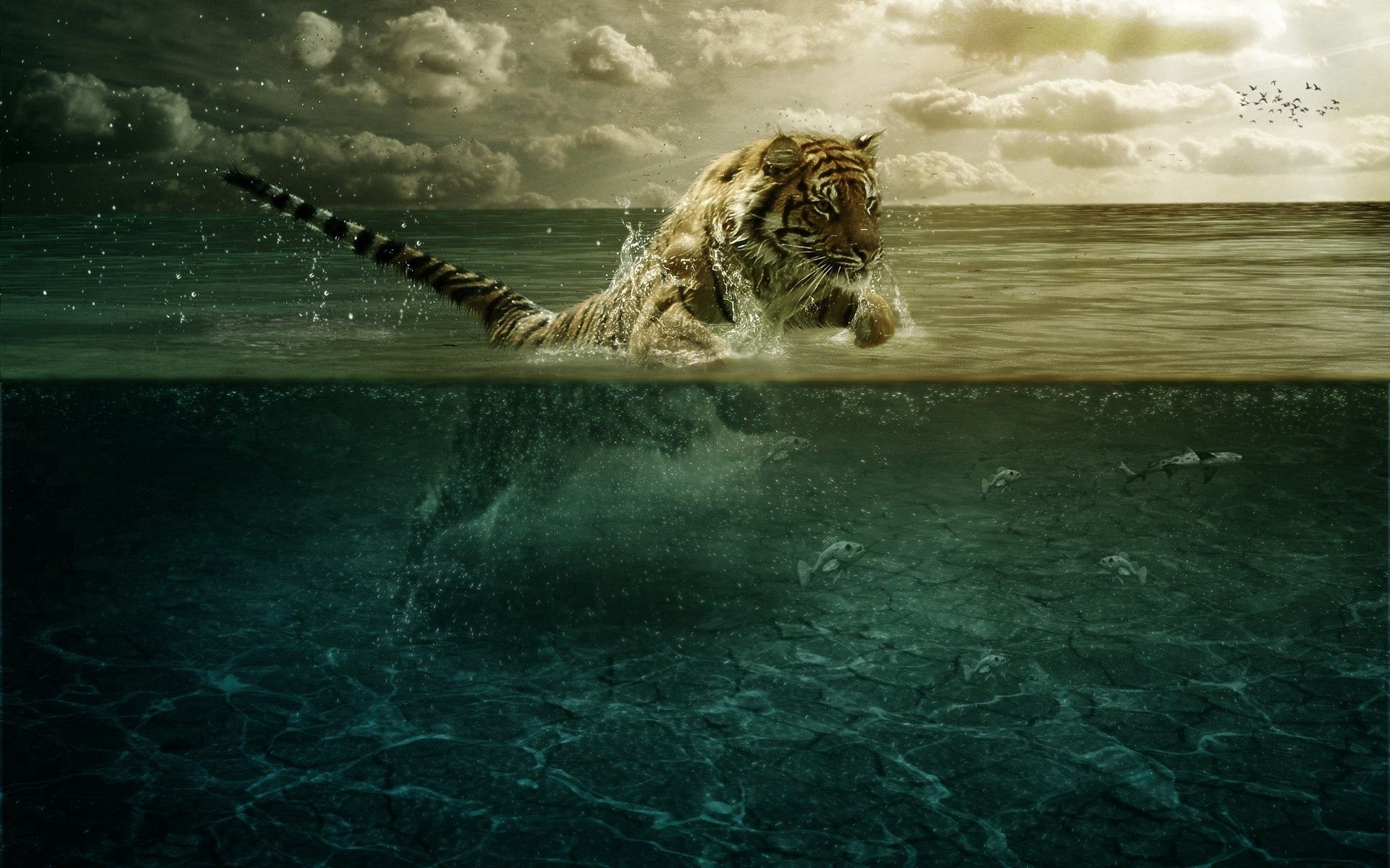 117972 скачать картинку охота, прыжок, тигр, море, под водой, животные - обои и заставки бесплатно