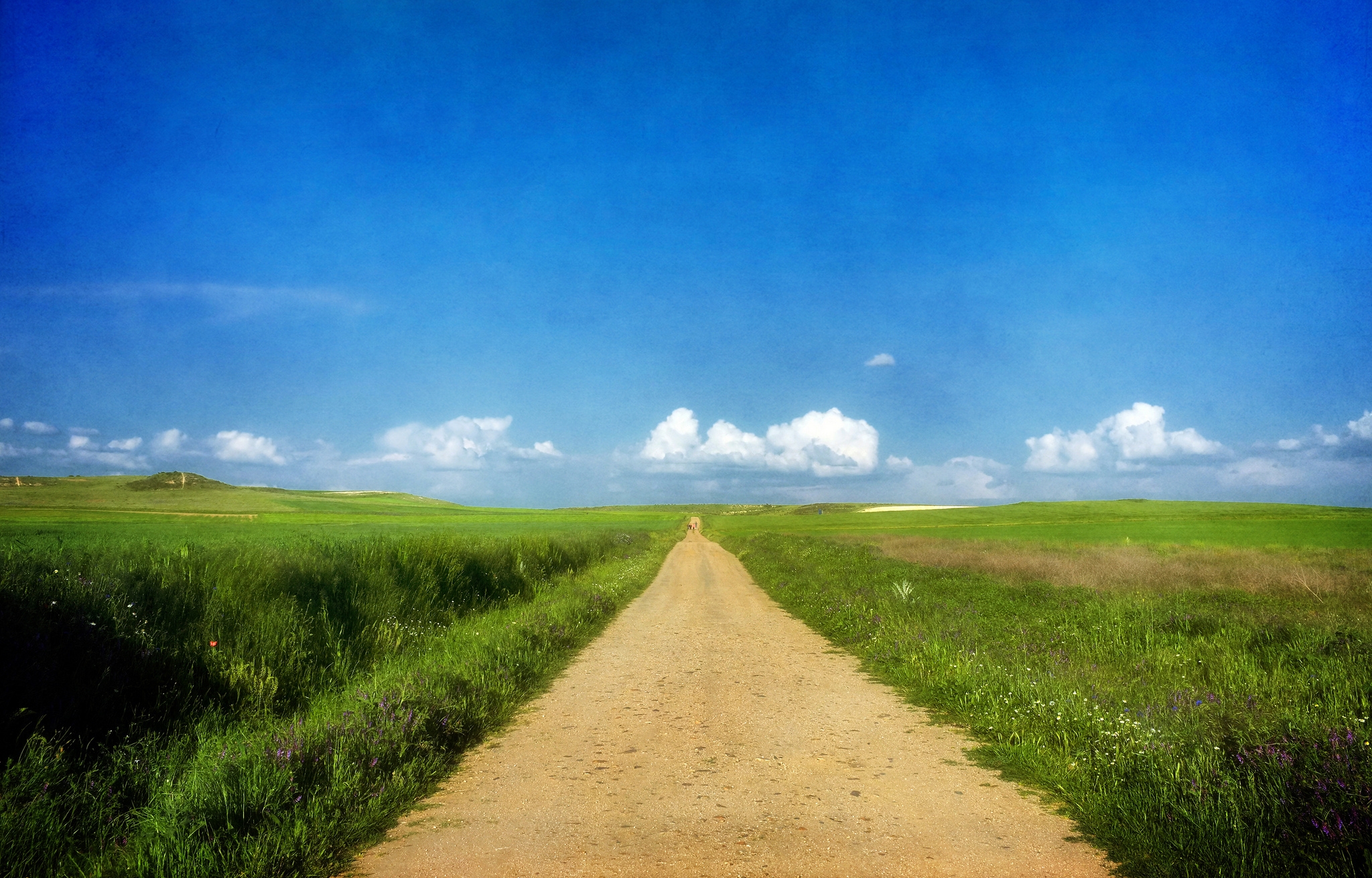 Free download wallpaper Grass, Sky, Clouds, Summer, Road, Nature, Sunny on your PC desktop