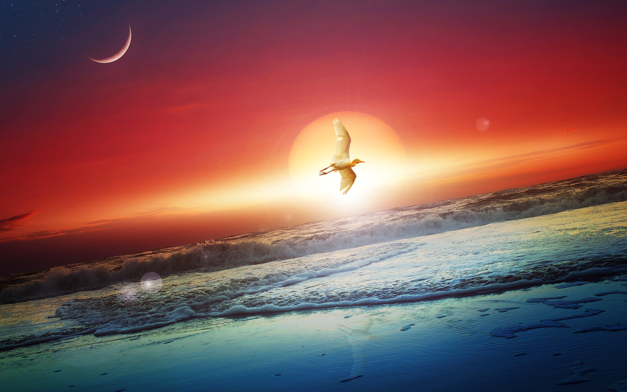 Download mobile wallpaper Landscape, Sea, Sun, Moon, Bird, Flight, Artistic for free.