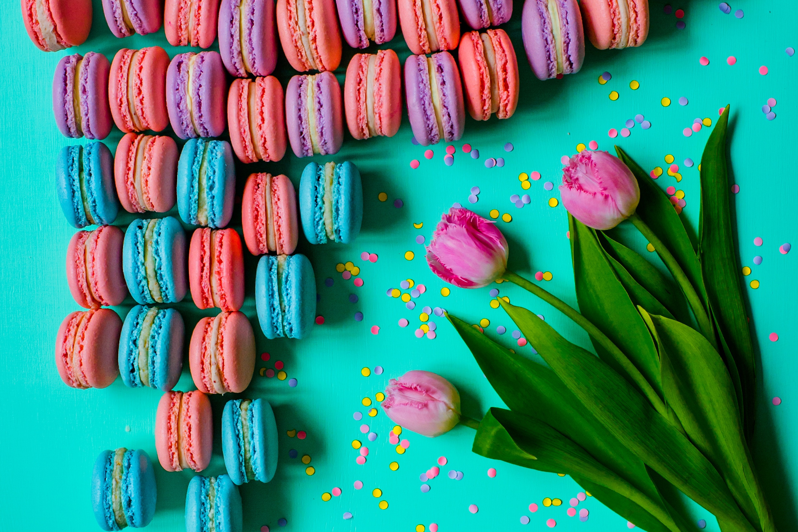 Download mobile wallpaper Food, Flower, Tulip, Sweets, Macaron, Pink Flower for free.