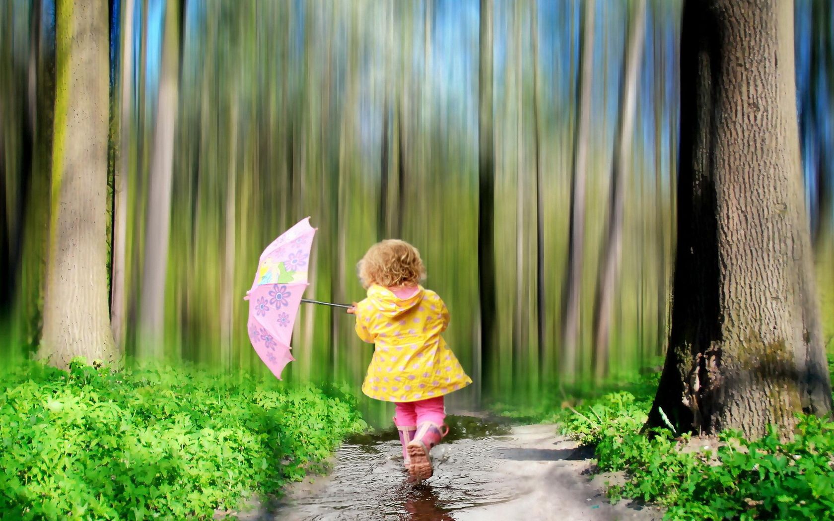 Download mobile wallpaper Miscellanea, Miscellaneous, Nature, Forest, Child, Umbrella for free.