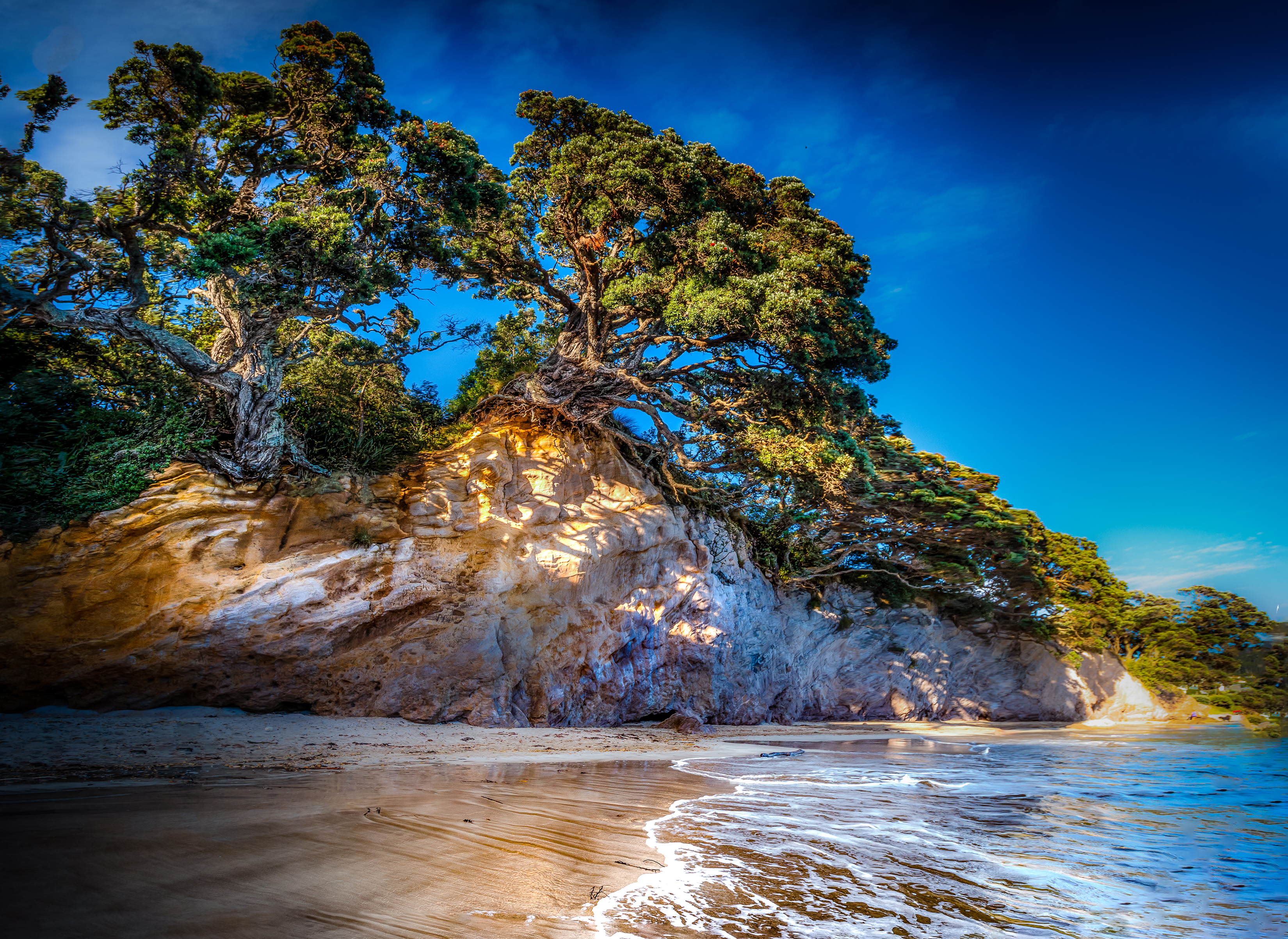 Free download wallpaper Nature, Beach, Sand, Tree, Earth on your PC desktop
