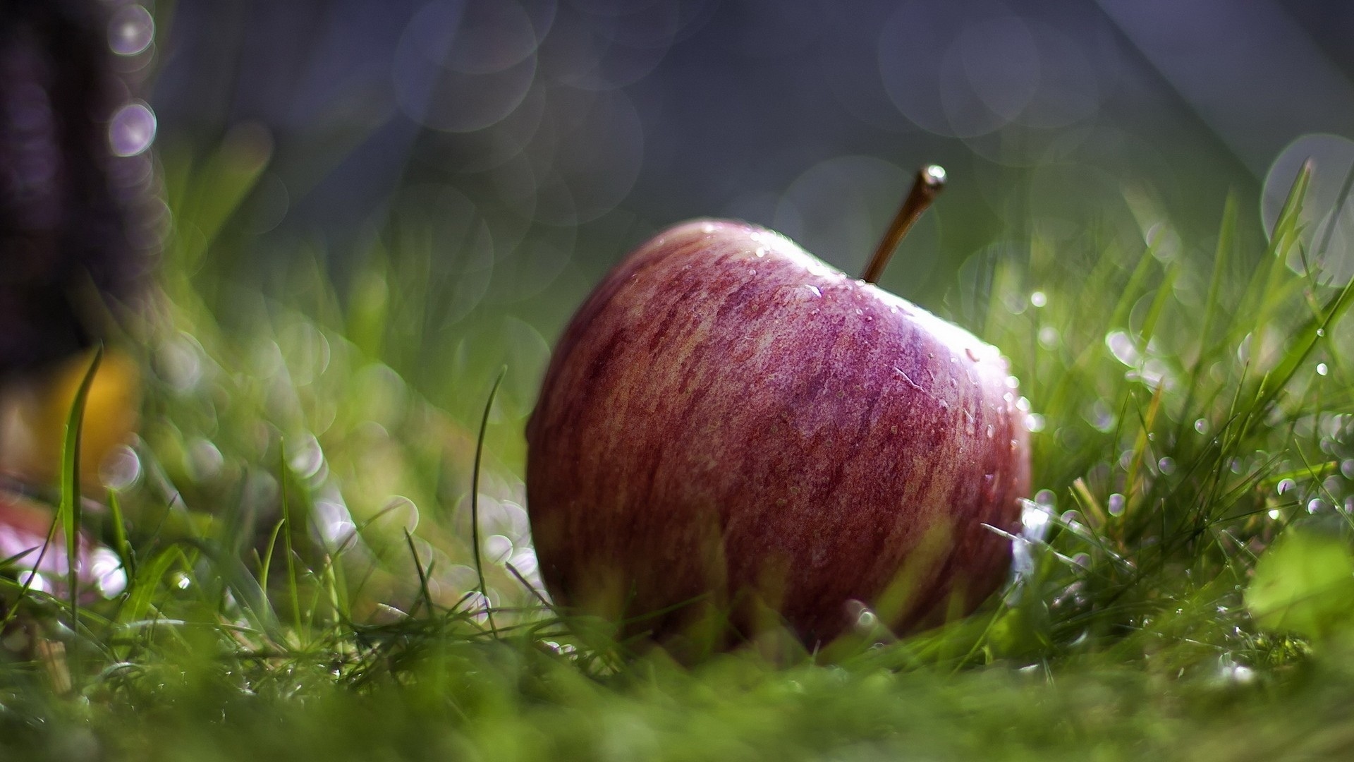 Laden Sie das Apfel, Nahrungsmittel-Bild kostenlos auf Ihren PC-Desktop herunter