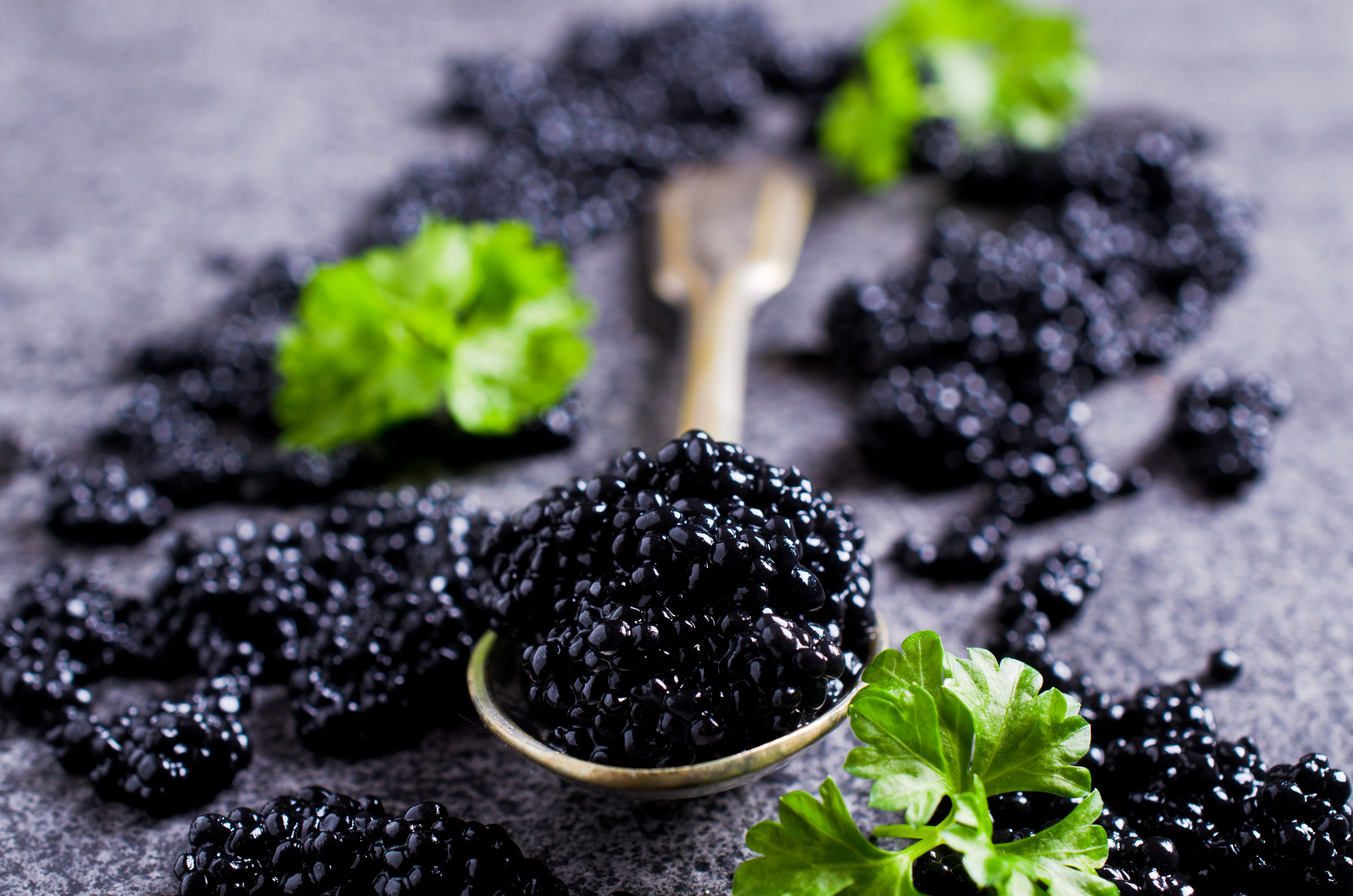 Téléchargez des papiers peints mobile Nourriture, Caviar gratuitement.