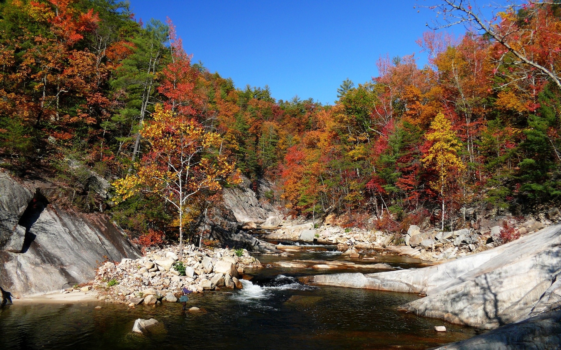 Descarga gratis la imagen Otoño, Tierra/naturaleza en el escritorio de tu PC