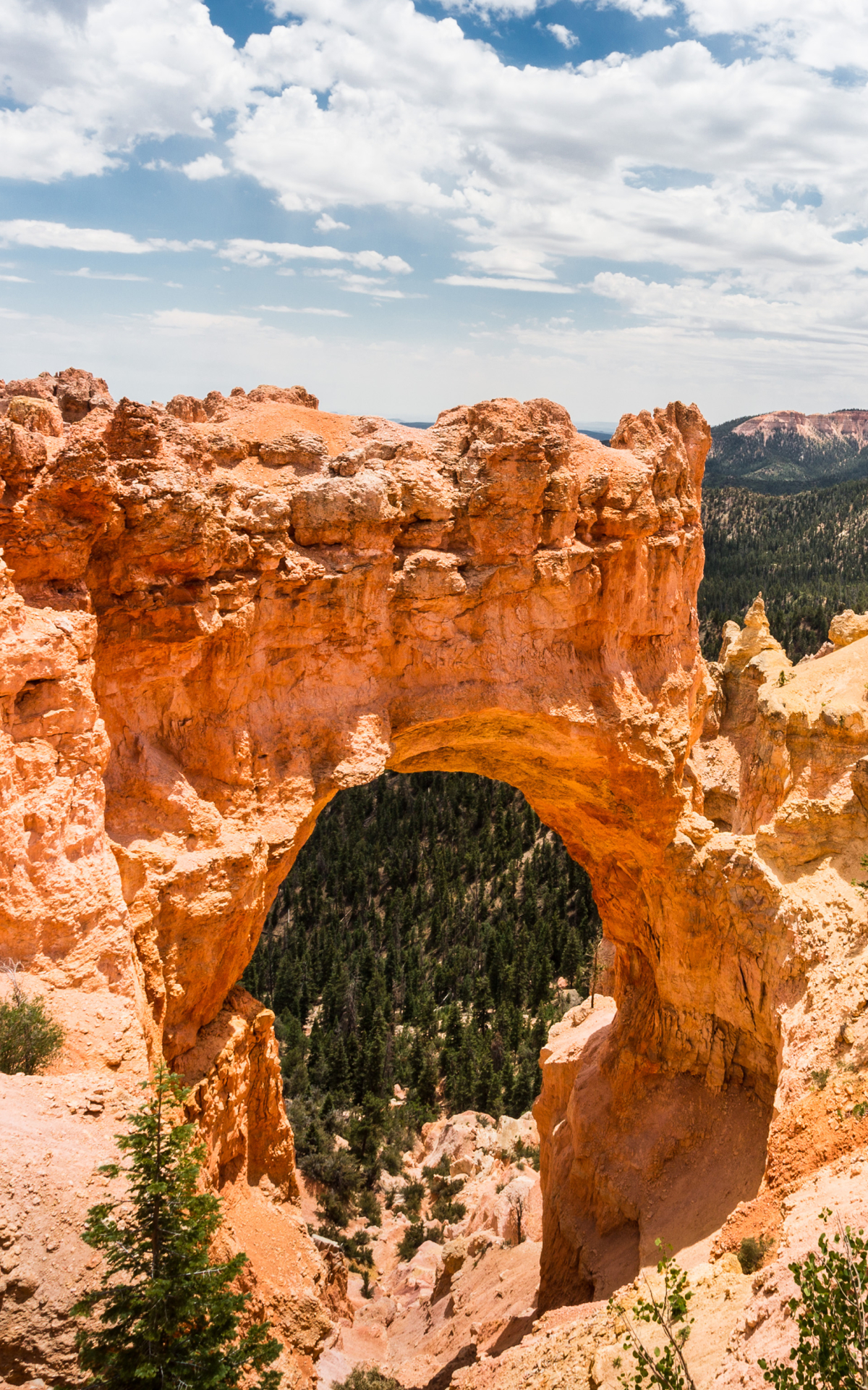 Download mobile wallpaper Canyon, Earth, Arch, National Park, Bryce Canyon National Park for free.