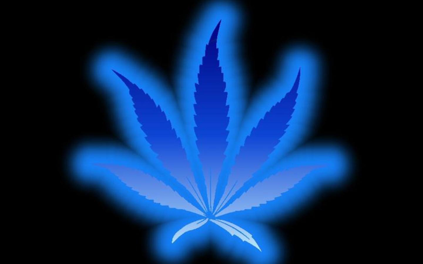 20891 télécharger l'image le cannabis, marijuana, contexte, bleu - fonds d'écran et économiseurs d'écran gratuits