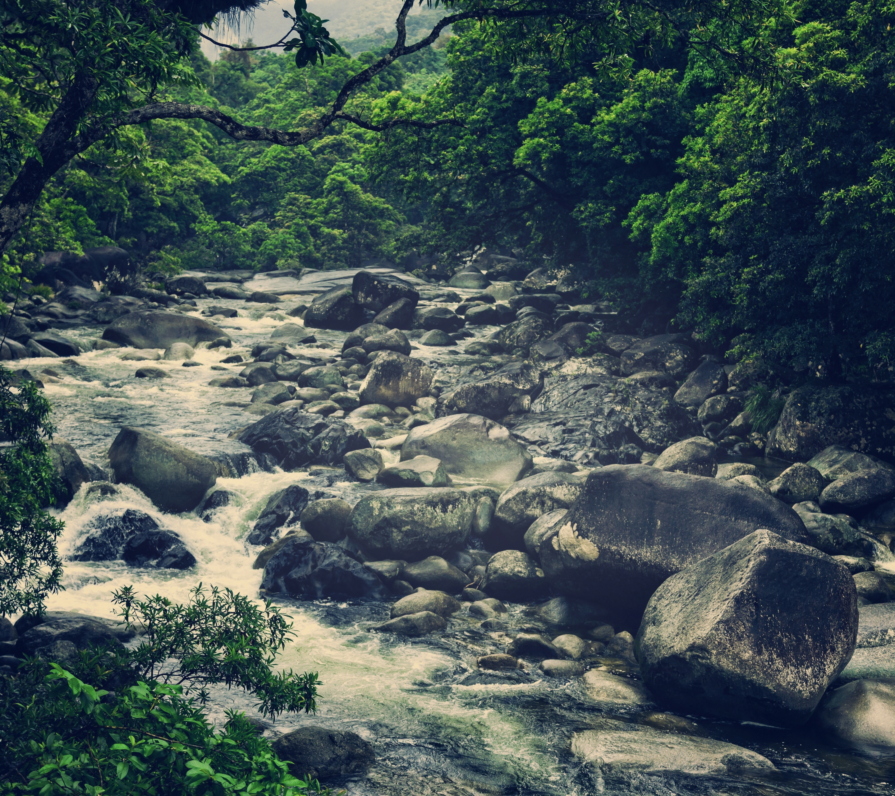 Baixar papel de parede para celular de Rio, Terra/natureza gratuito.