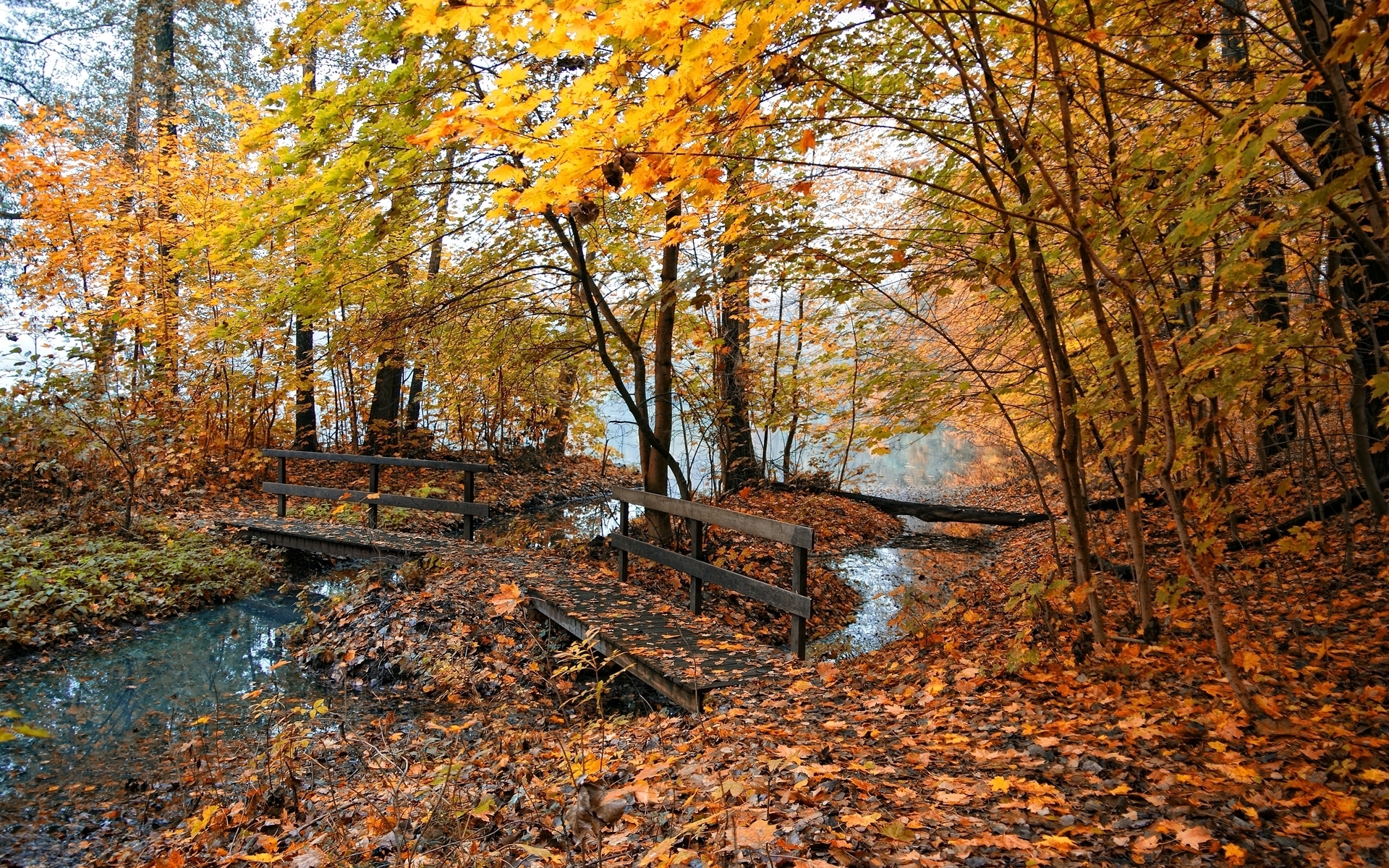 PCデスクトップに風景, 自然, 秋, オレンジ画像を無料でダウンロード