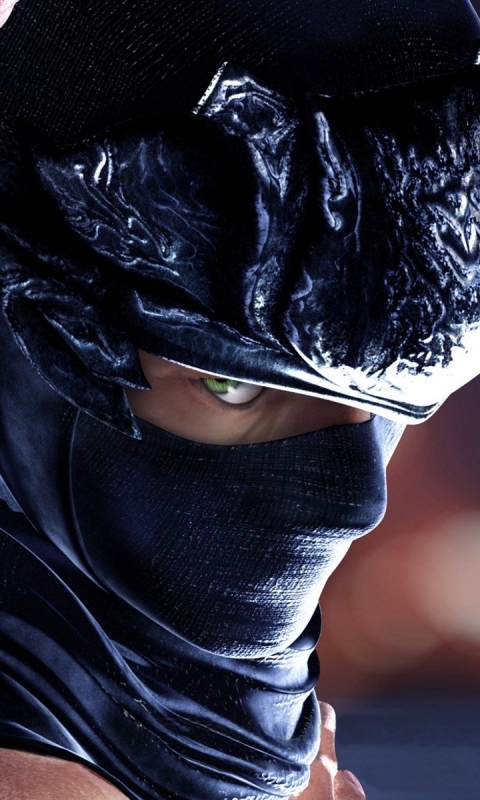 Descarga gratuita de fondo de pantalla para móvil de Videojuego, Ninja Gaiden.