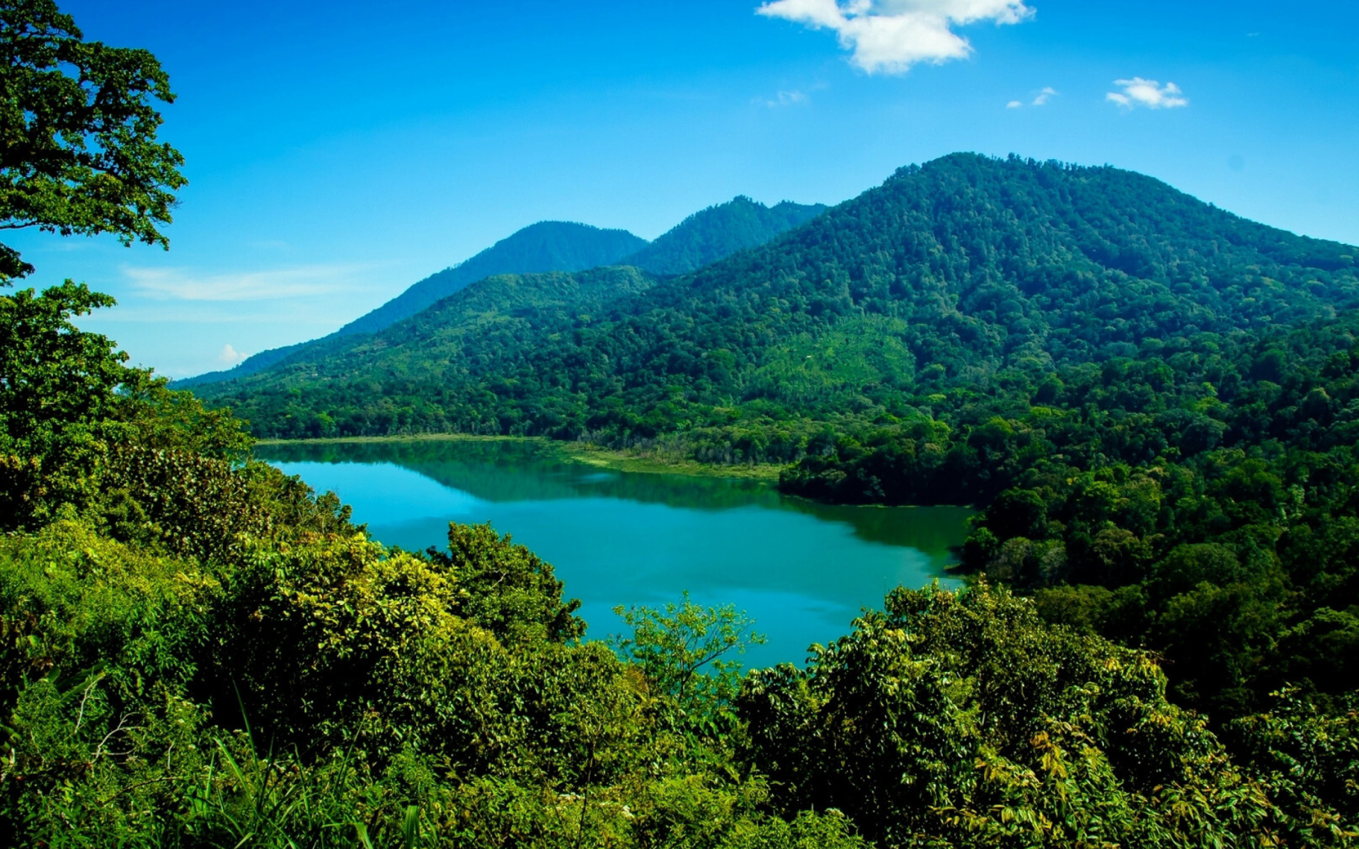 379523 скачать обои дерево, горы, бали, лес, земля/природа, гора, индонезия, гора агунг - заставки и картинки бесплатно