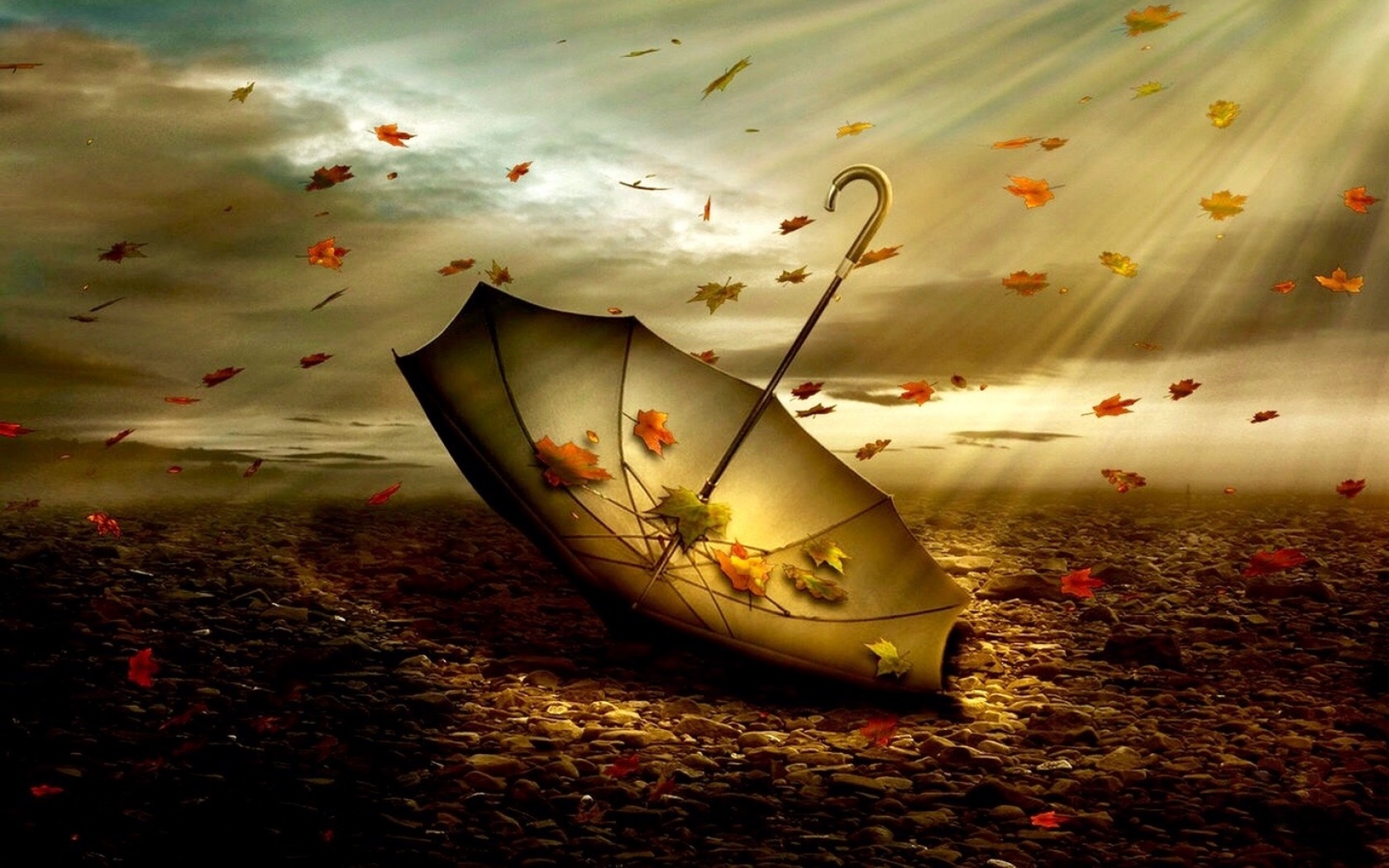 artistic, fall, leaf, umbrella, wind