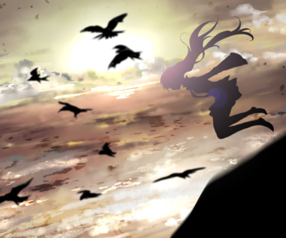 Free download wallpaper Anime, Sky, Vocaloid, Crow, Hatsune Miku on your PC desktop