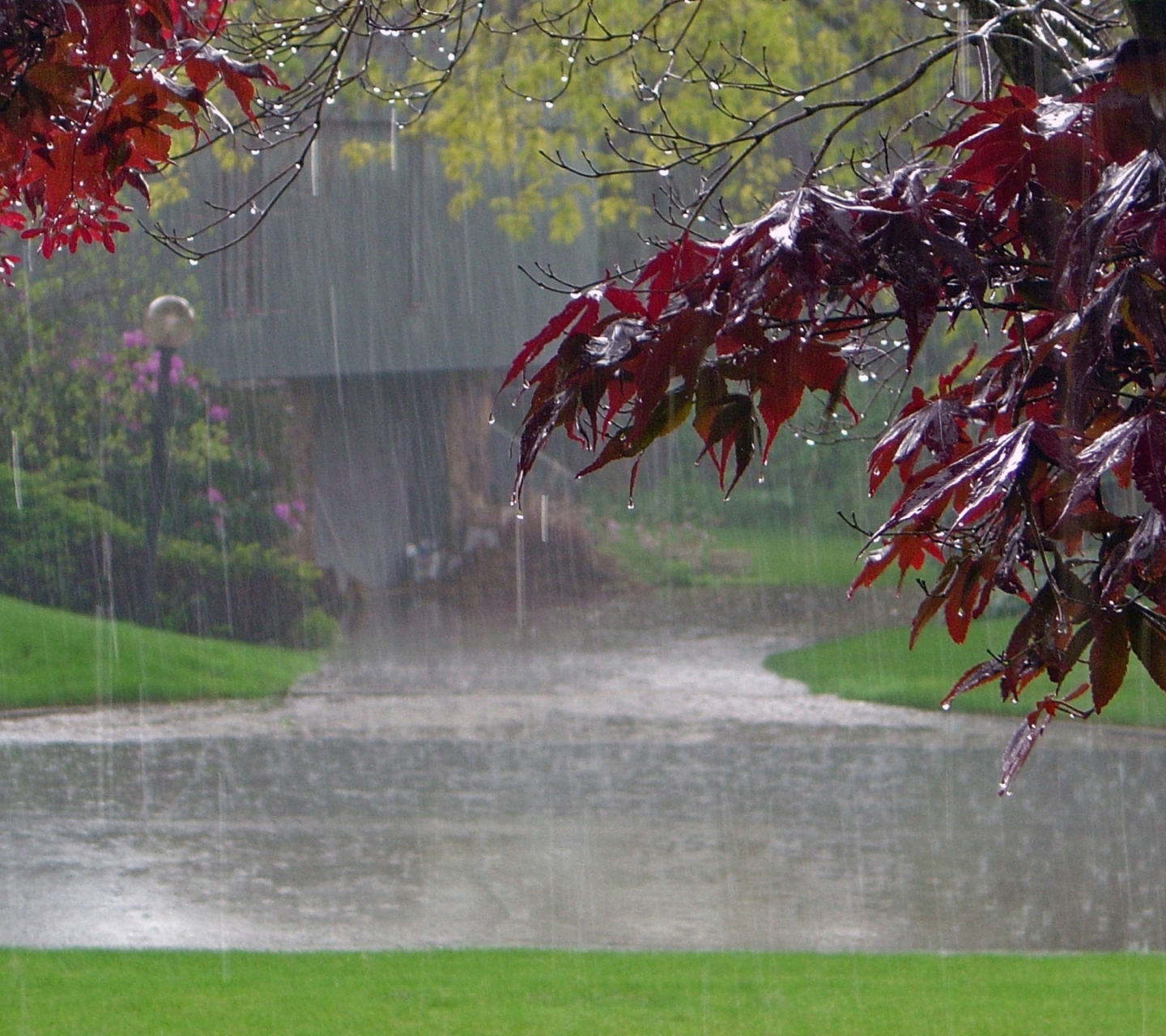 Download mobile wallpaper Rain, Fall, Photography for free.