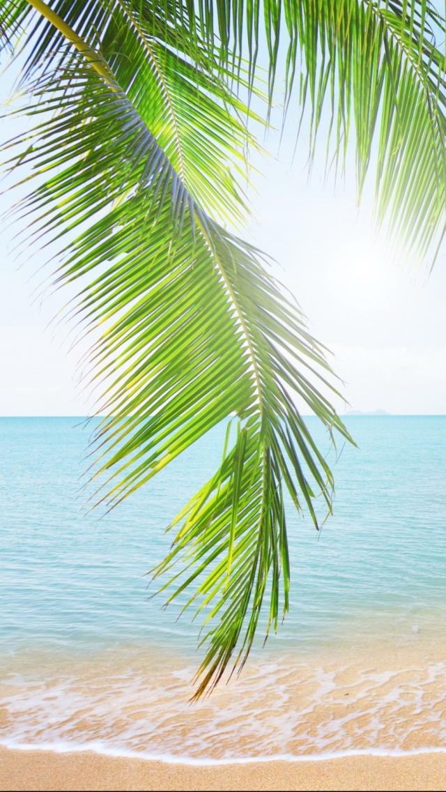 Descarga gratuita de fondo de pantalla para móvil de Playa, Tierra/naturaleza.