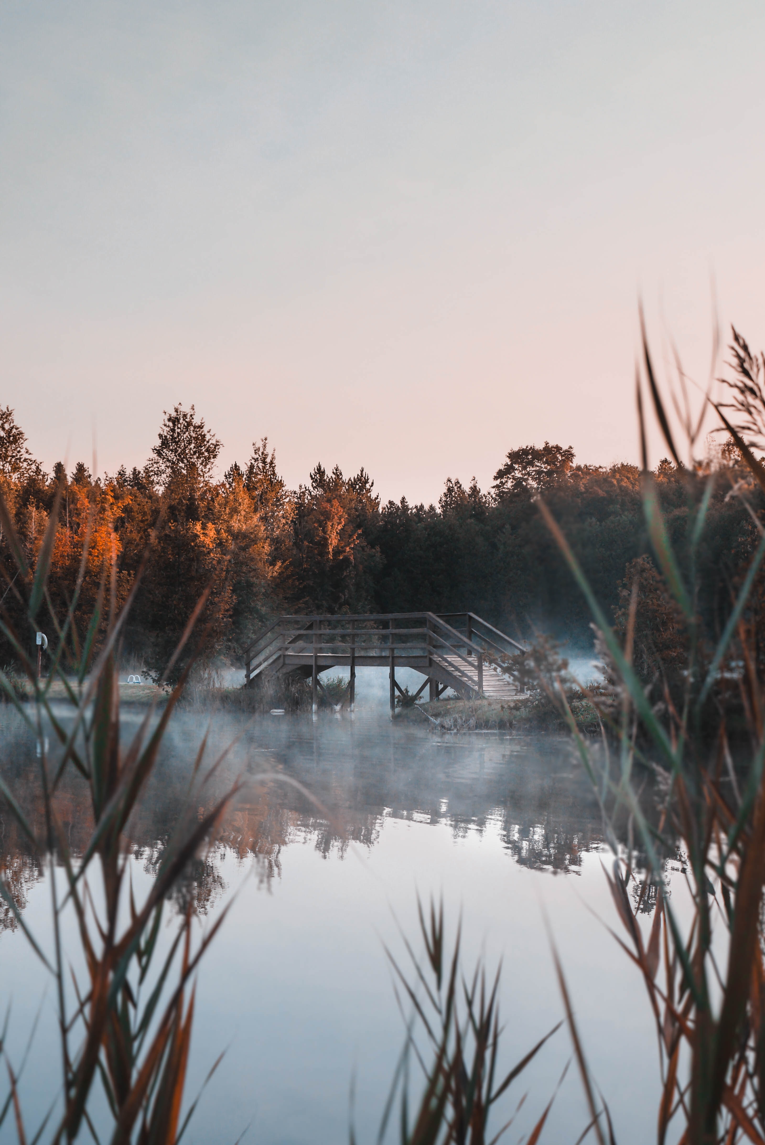 Download mobile wallpaper Fog, Bridge, Lake, Trees, Nature for free.