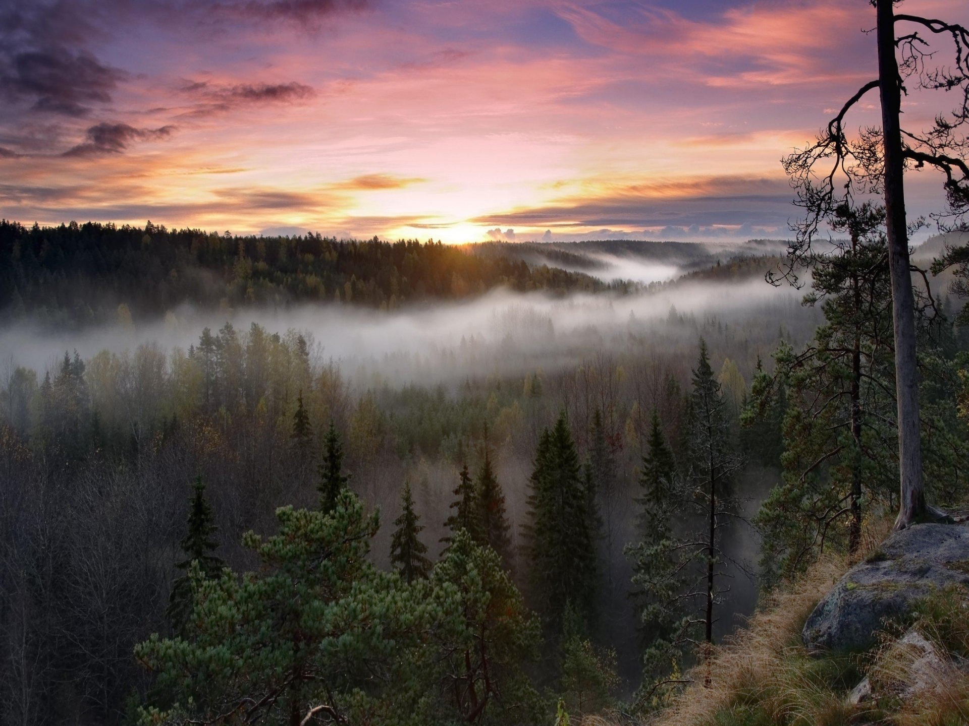 Descarga gratis la imagen Paisaje, Naturaleza, Cielo, Bosque, Niebla, Atardecer, Tierra/naturaleza en el escritorio de tu PC