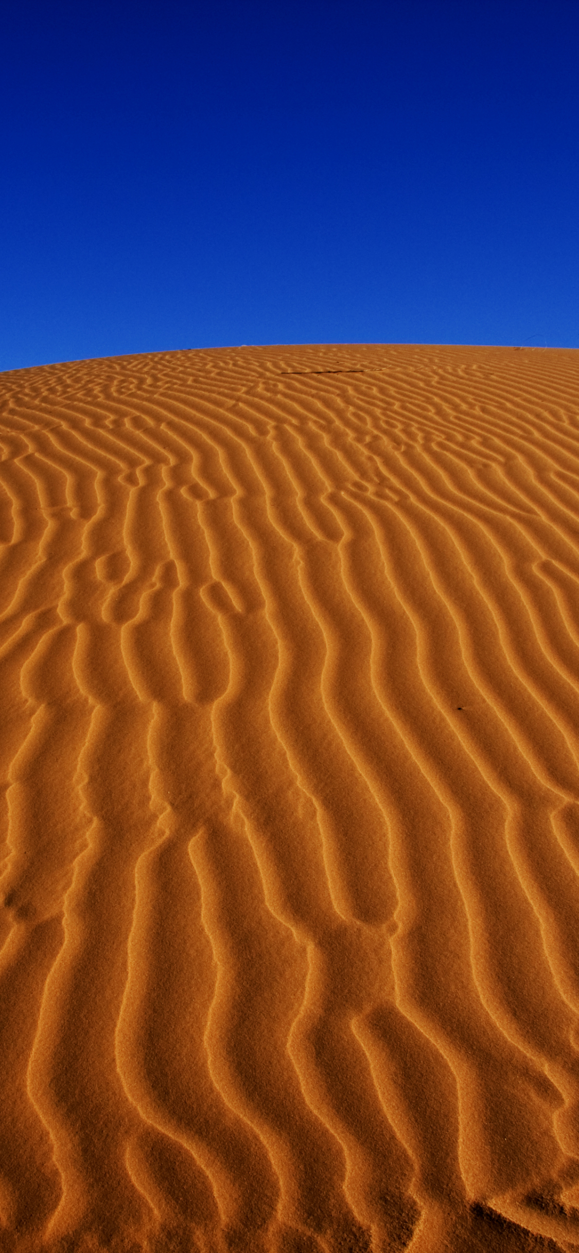 Handy-Wallpaper Sand, Düne, Steppe, Sahara, Afrika, Himmel, Erde/natur kostenlos herunterladen.