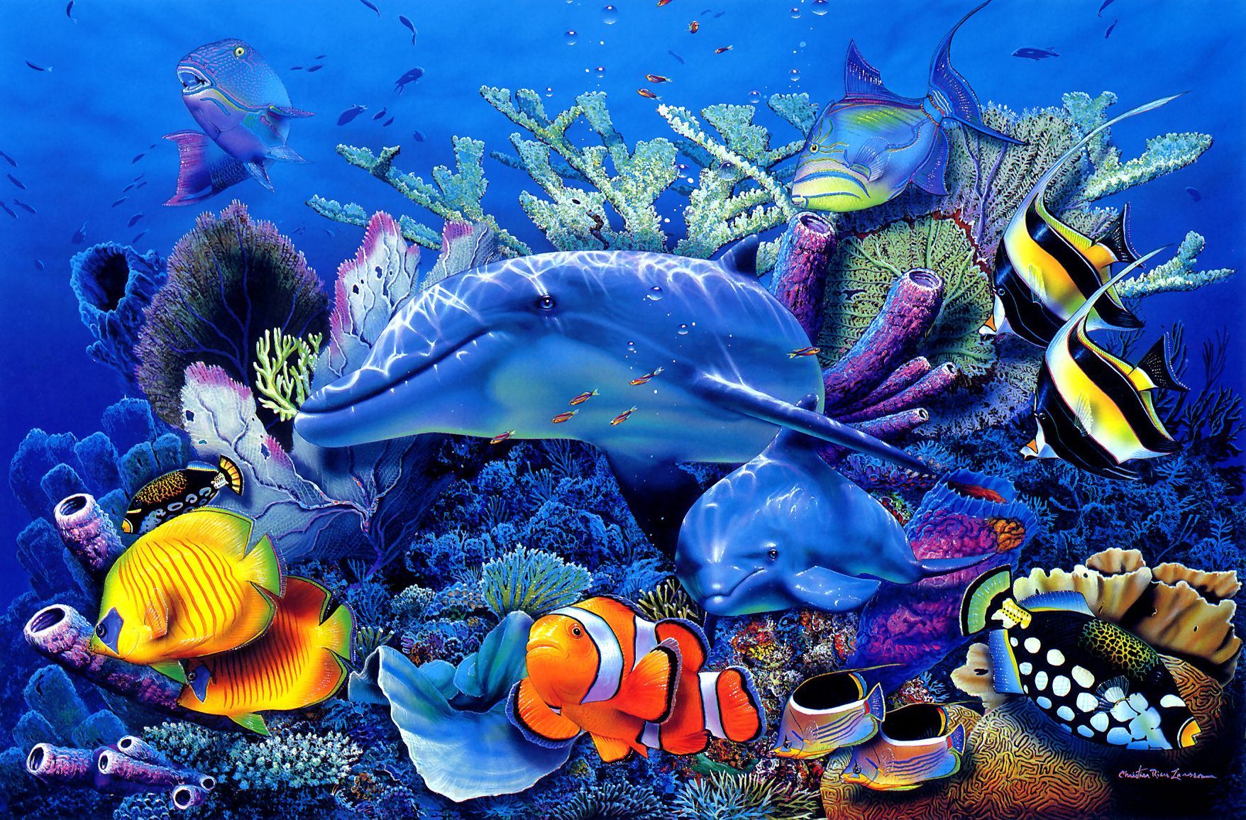 21874 Hintergrundbild herunterladen fische, delfine, tiere, sea, blau - Bildschirmschoner und Bilder kostenlos