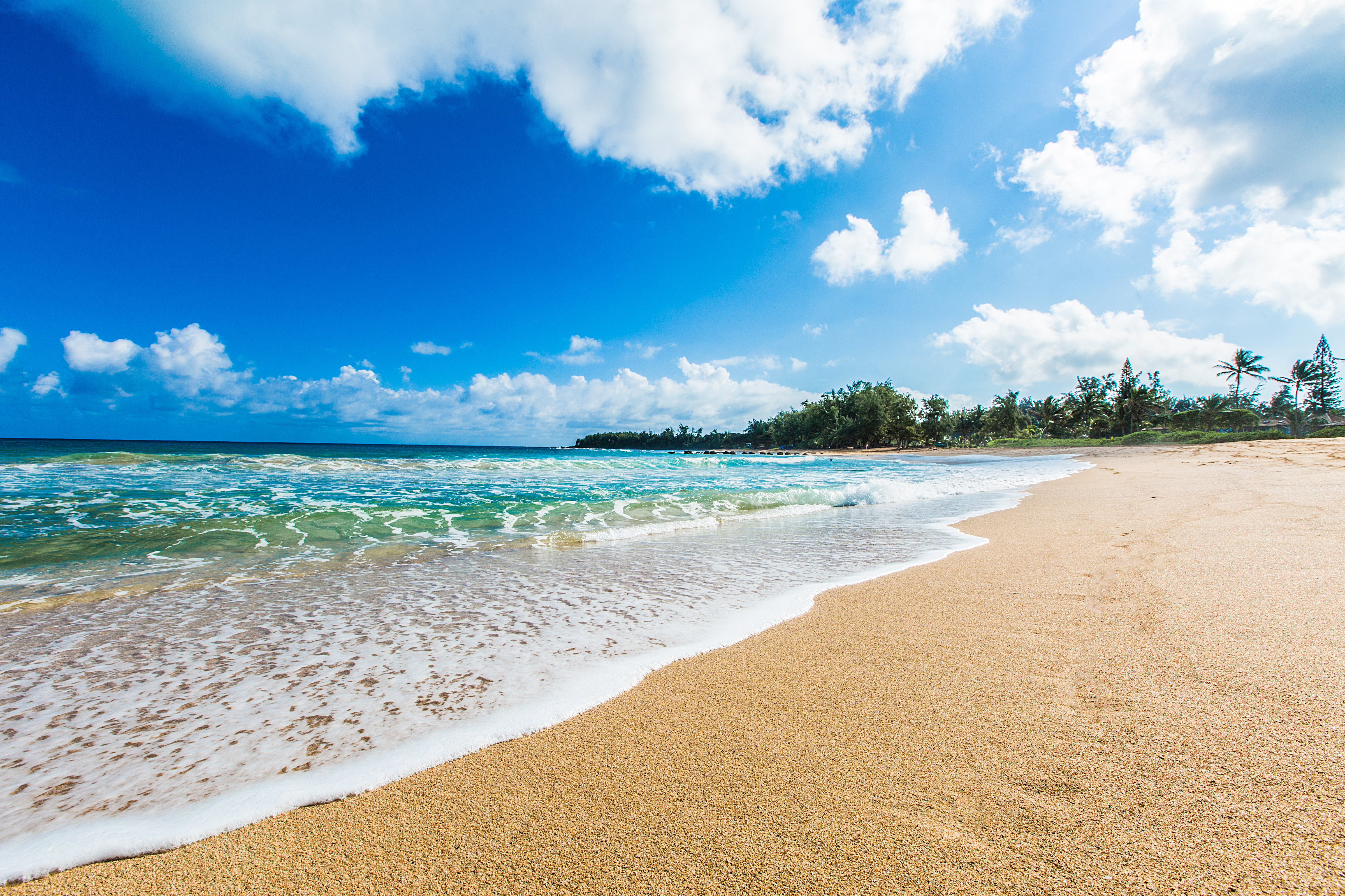 827536 descargar fondo de pantalla tierra/naturaleza, playa, hawai, horizonte, kauai, océano, palmera, mar, tropico: protectores de pantalla e imágenes gratis