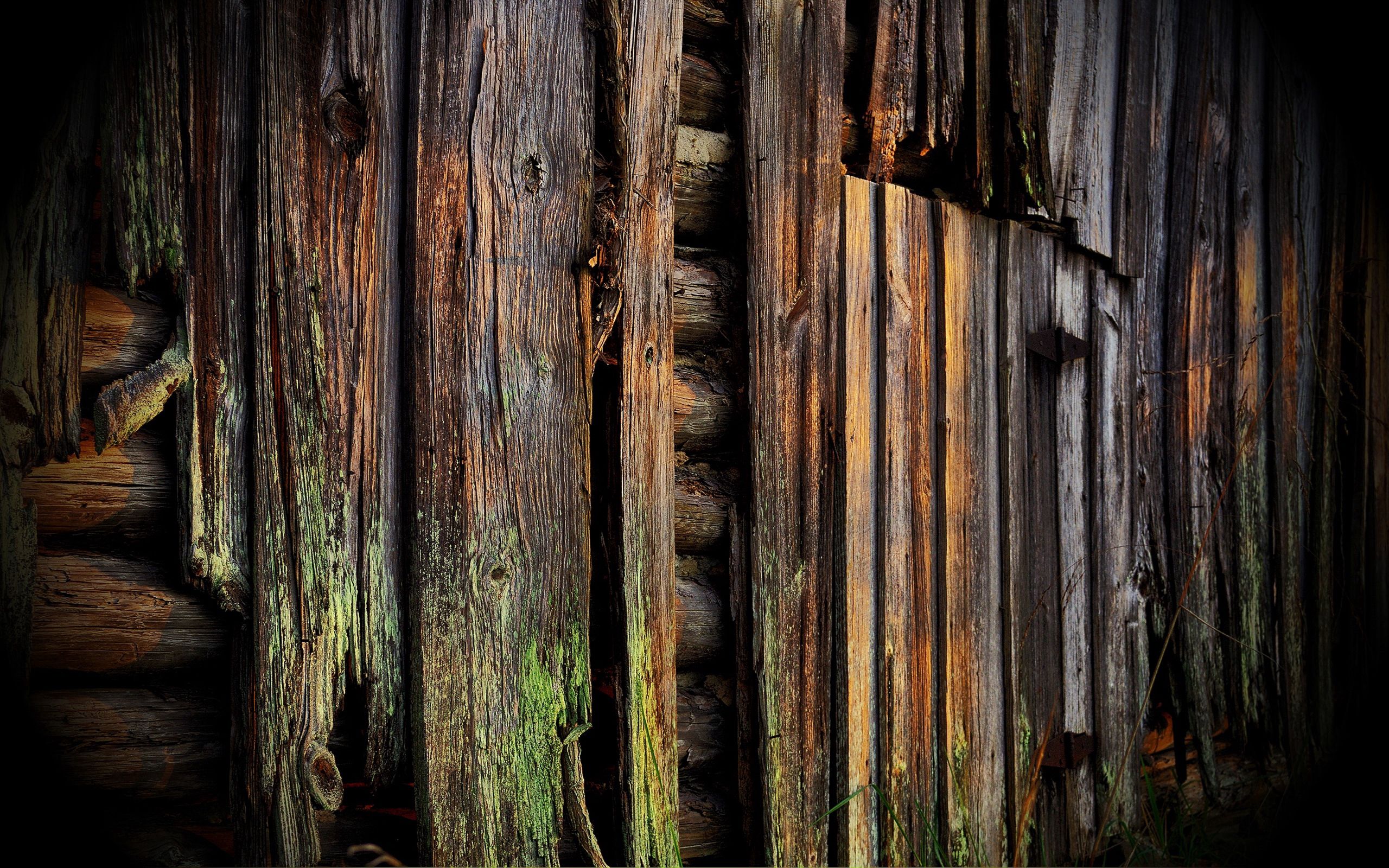nature, wood, tree, wall, sheathing, planks, board, dampness