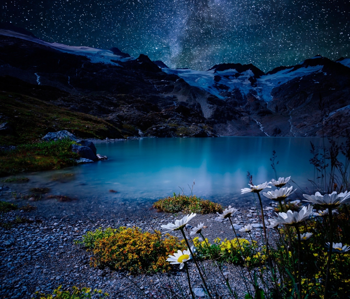Download mobile wallpaper Nature, Stars, Night, Lake, Earth, White Flower for free.