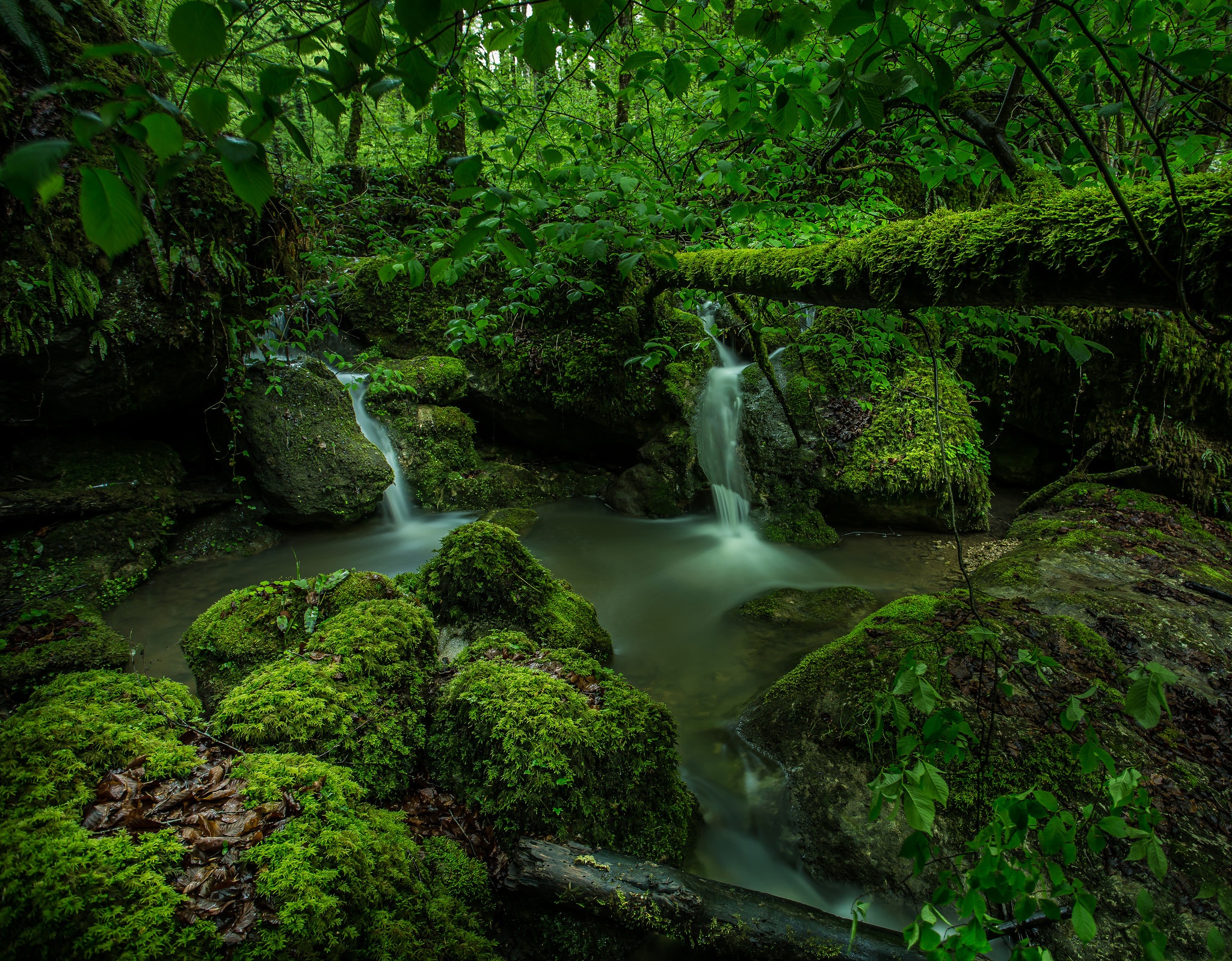 Free download wallpaper Nature, Earth, Moss, Stream on your PC desktop