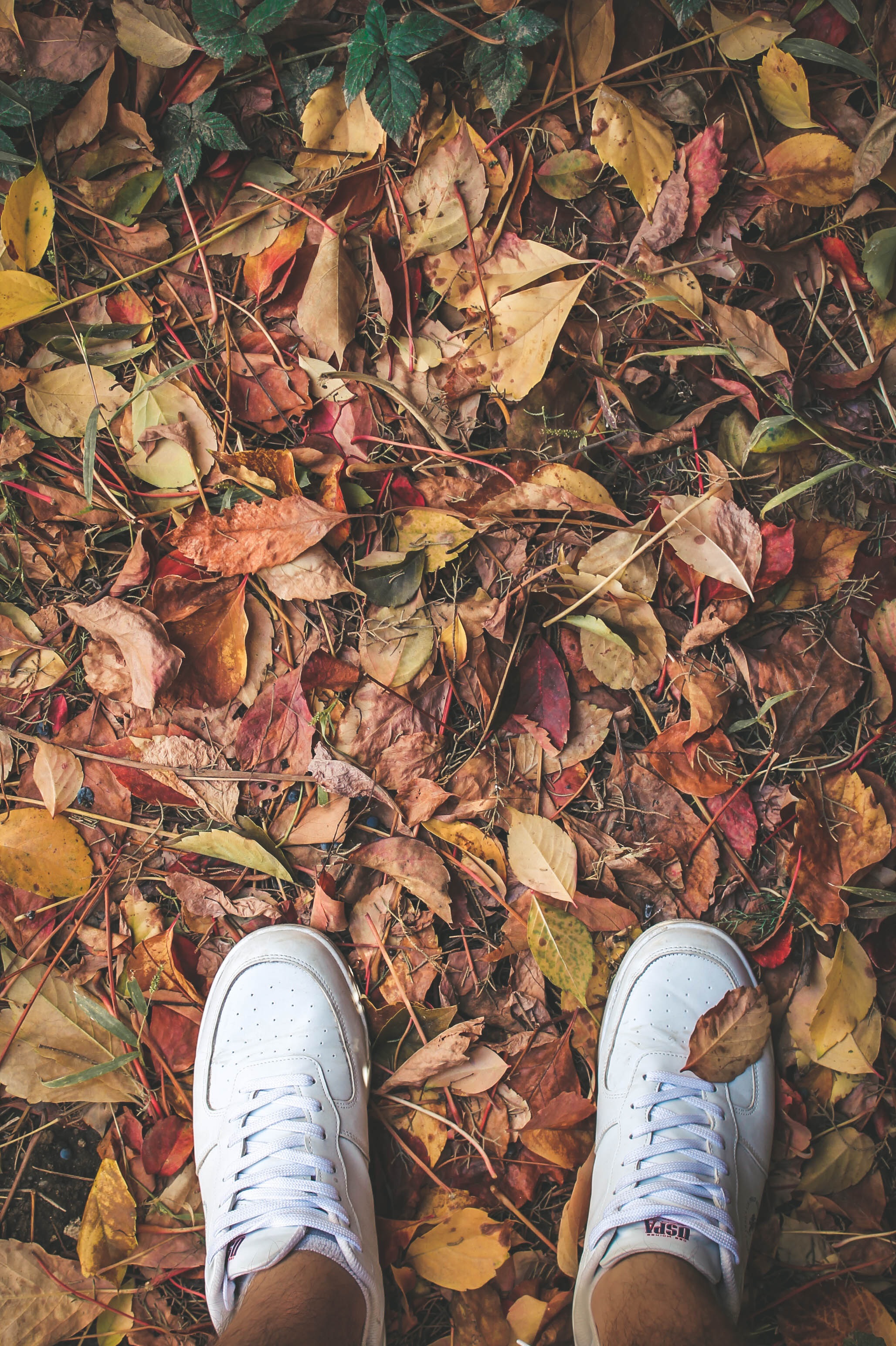 無料モバイル壁紙葉, その他, 雑, 足, 下肢, 木の葉, スニーカー, 秋をダウンロードします。