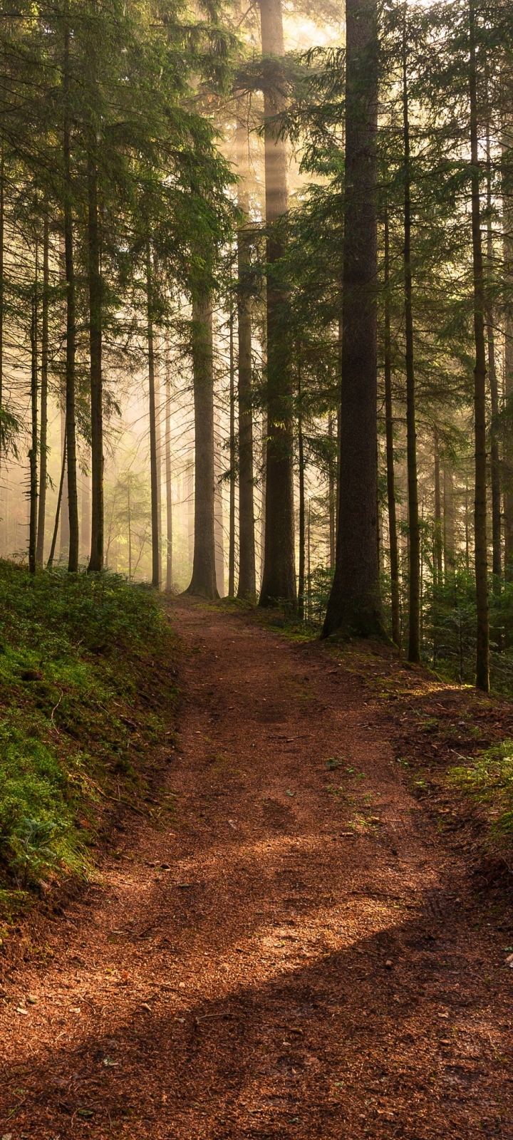 Descarga gratuita de fondo de pantalla para móvil de Naturaleza, Camino, Tierra/naturaleza.