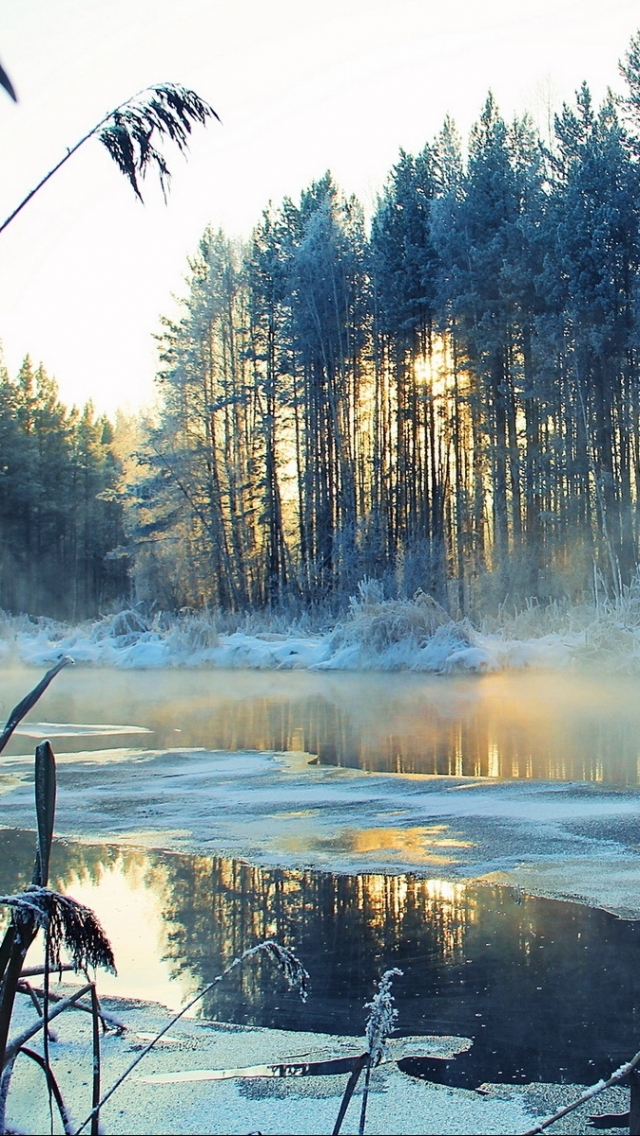 Handy-Wallpaper Winter, Erde/natur kostenlos herunterladen.