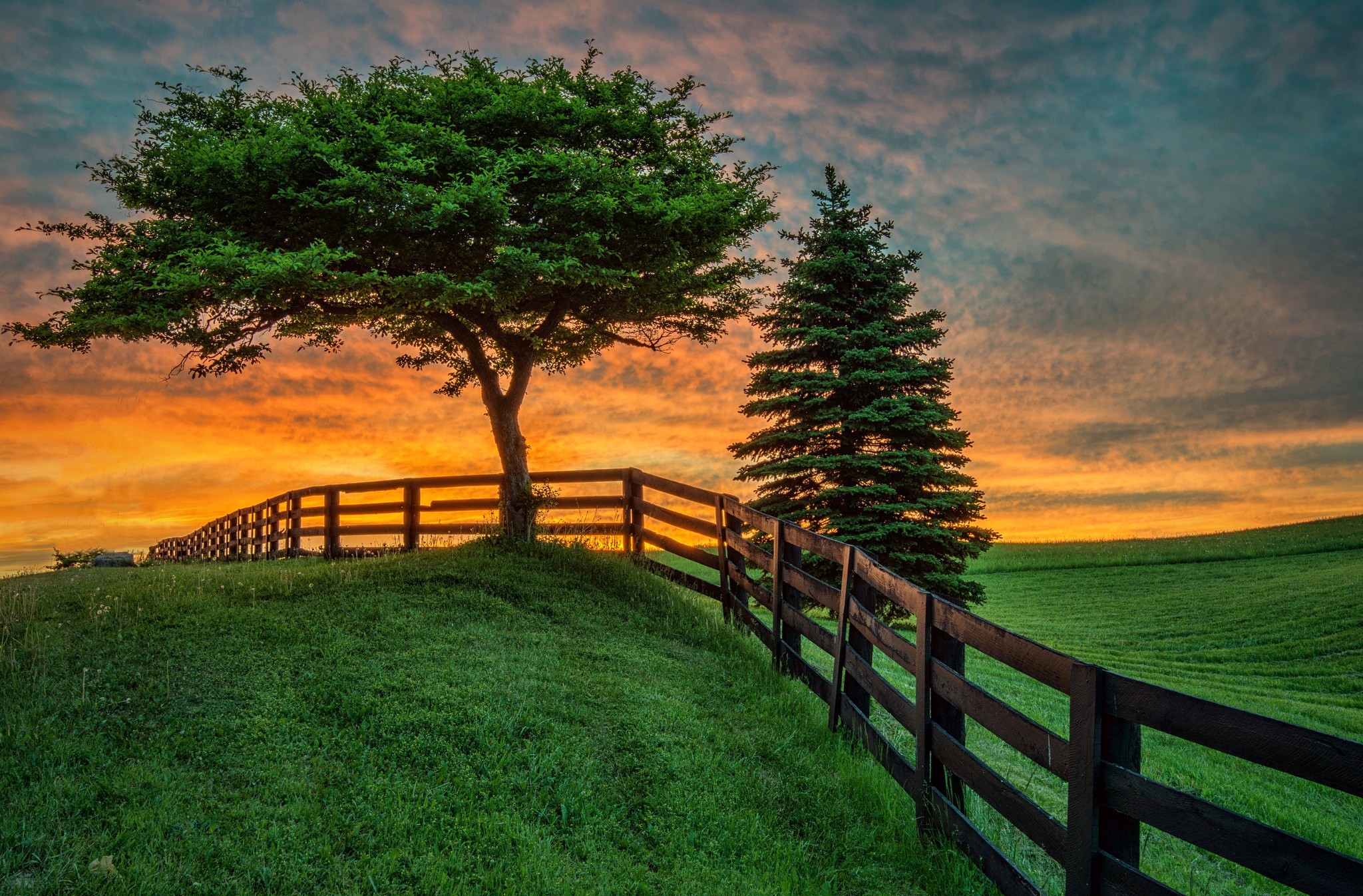 sunset, man made, fence, earth, field, grass, green, pine, sky, tree HD wallpaper