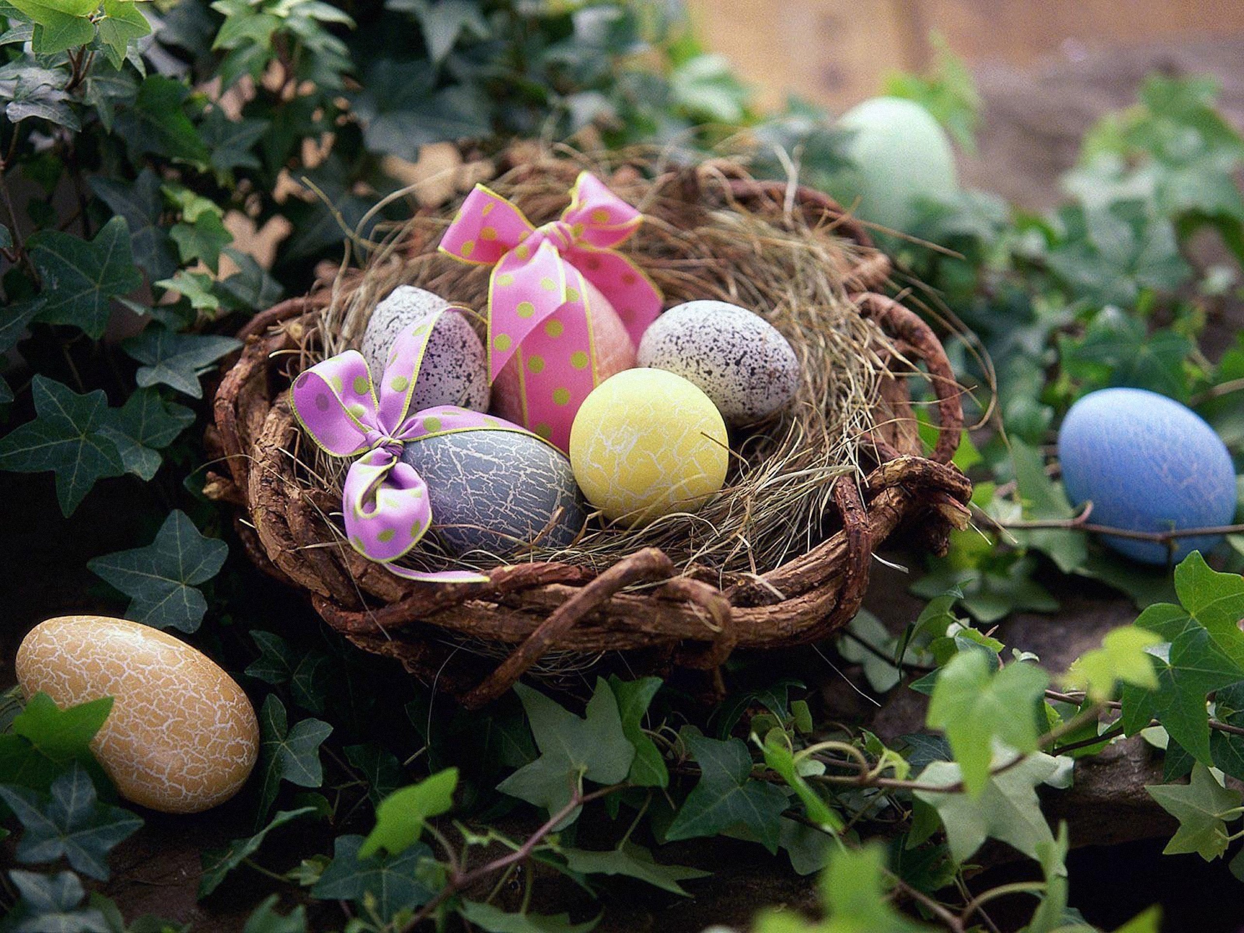 easter, holiday, basket, bow (clothing), egg, nest, vine