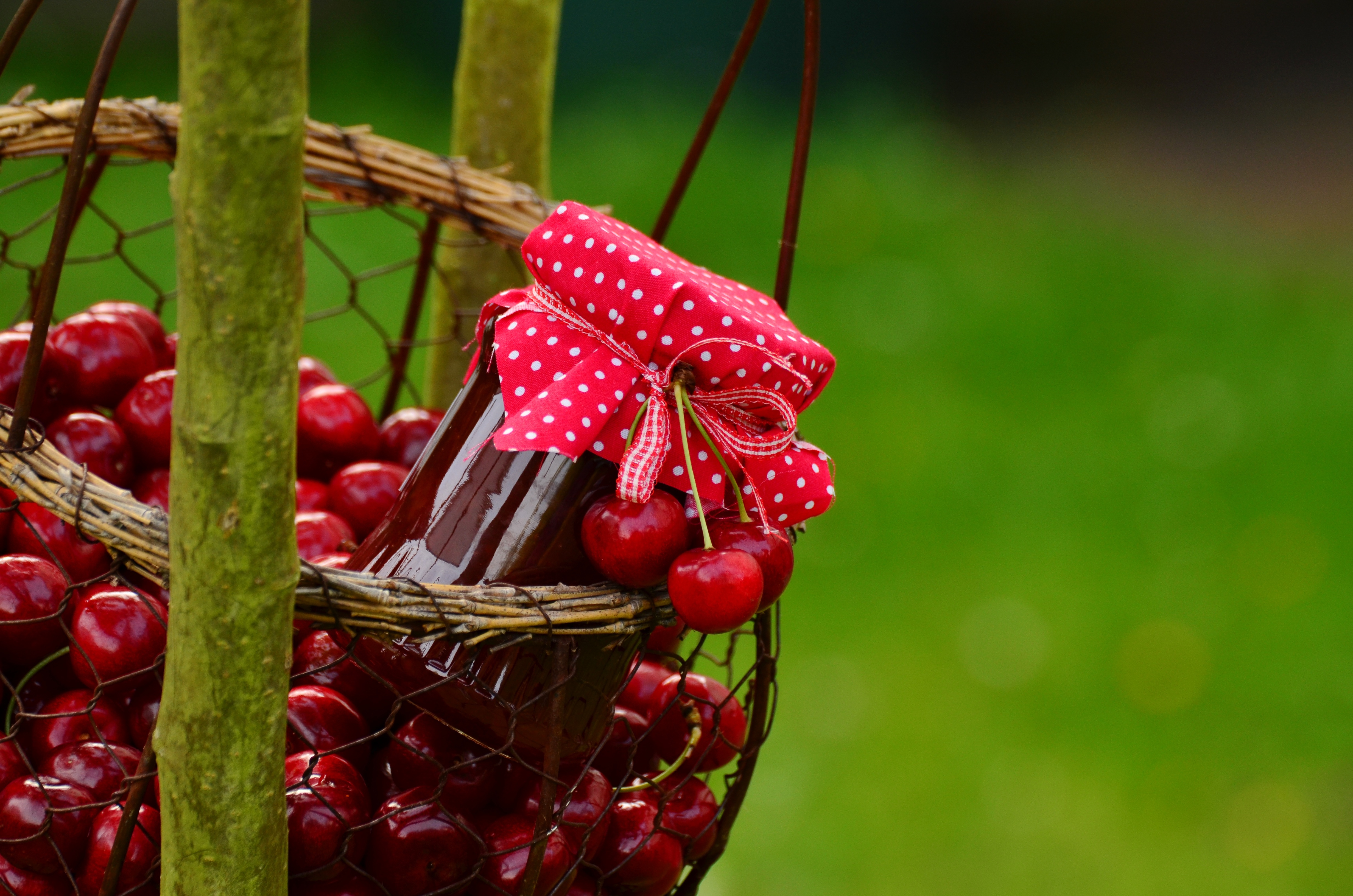 Laden Sie das Kirsche, Krug, Frucht, Korb, Marmelade, Nahrungsmittel, Früchte-Bild kostenlos auf Ihren PC-Desktop herunter