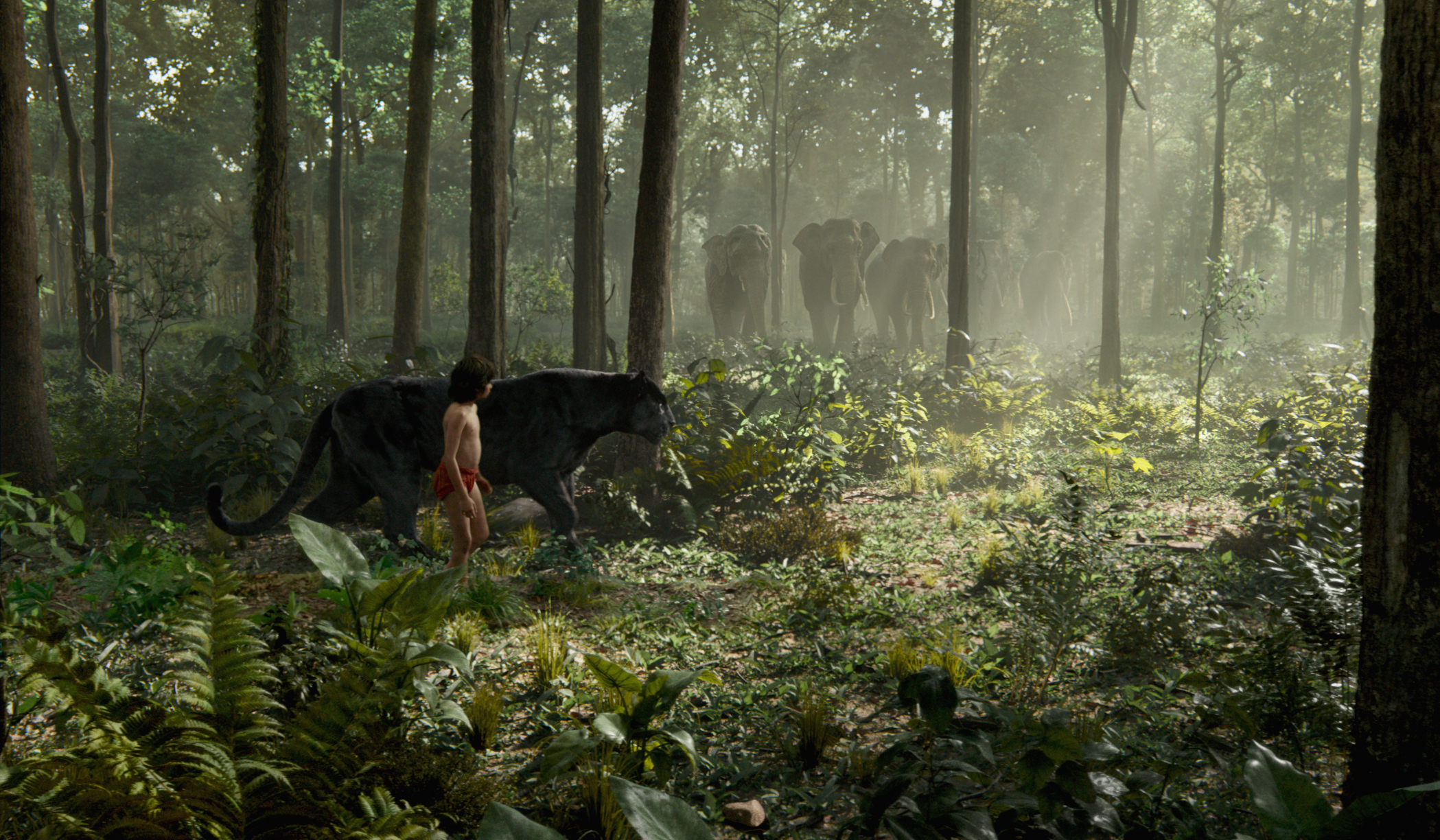 379738 descargar fondo de pantalla películas, el libro de la selva (2016), pantera negra, elefante, el libro de la selva: protectores de pantalla e imágenes gratis