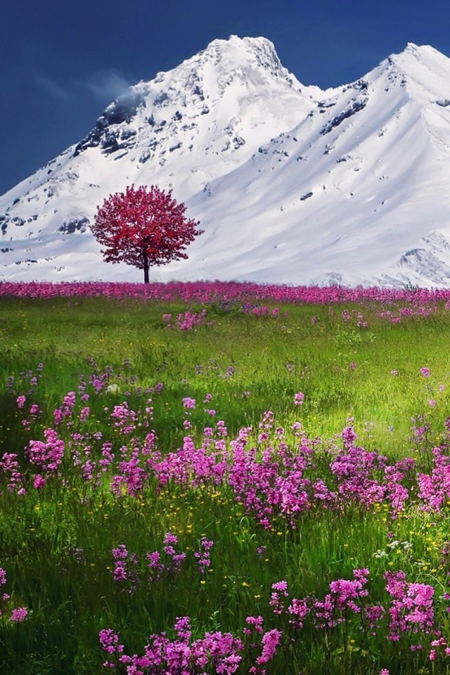 Download mobile wallpaper Nature, Grass, Mountains, Snow, Mountain, Flower, Tree, Earth, Spring for free.