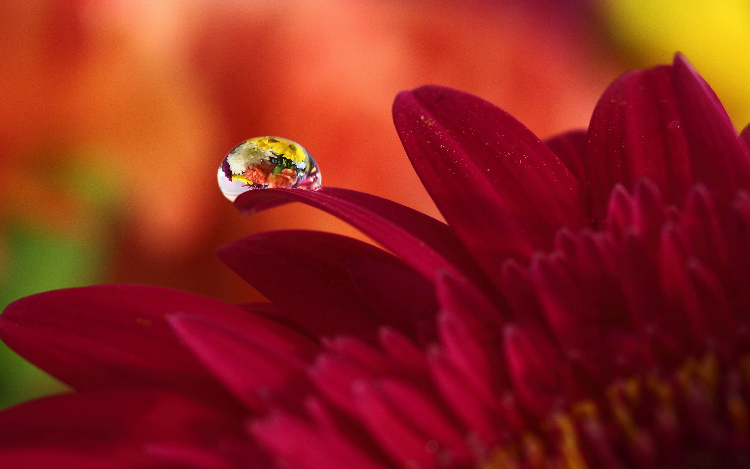 Free download wallpaper Earth, Water Drop on your PC desktop